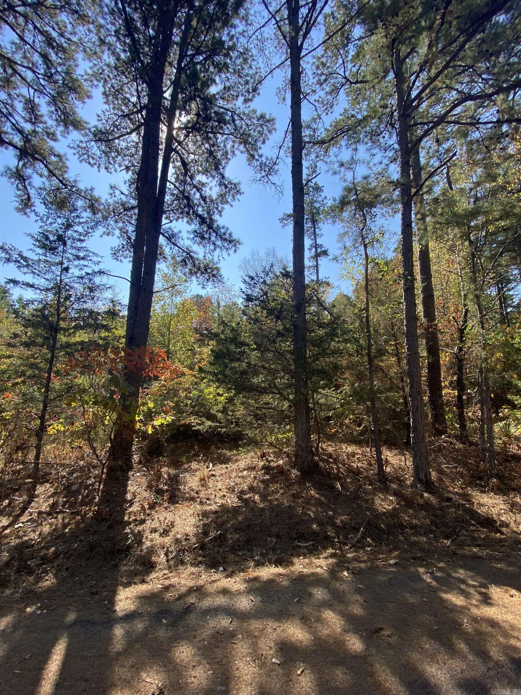 0 Twin Coves Circle, Greers Ferry, AR 72067
