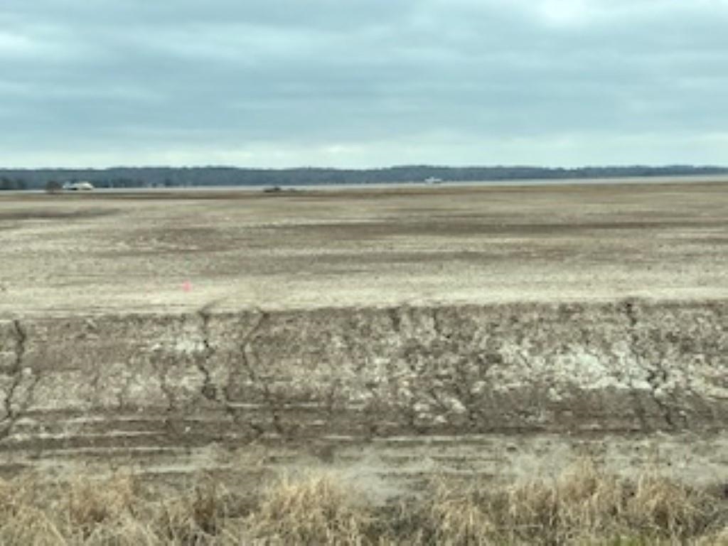 11400  Highway 63/230  Bono, AR