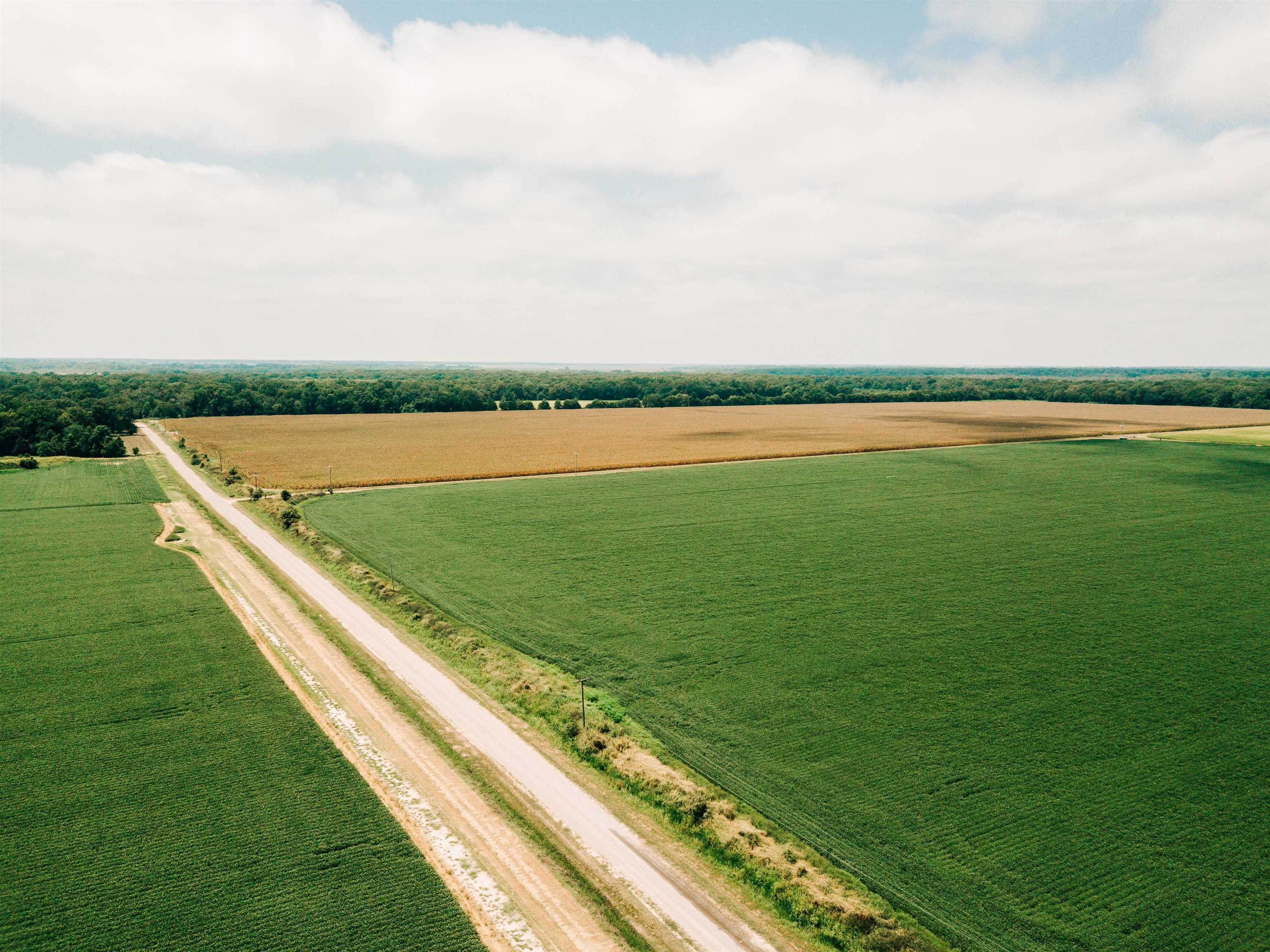 00  Bell Rd  Gillett, AR