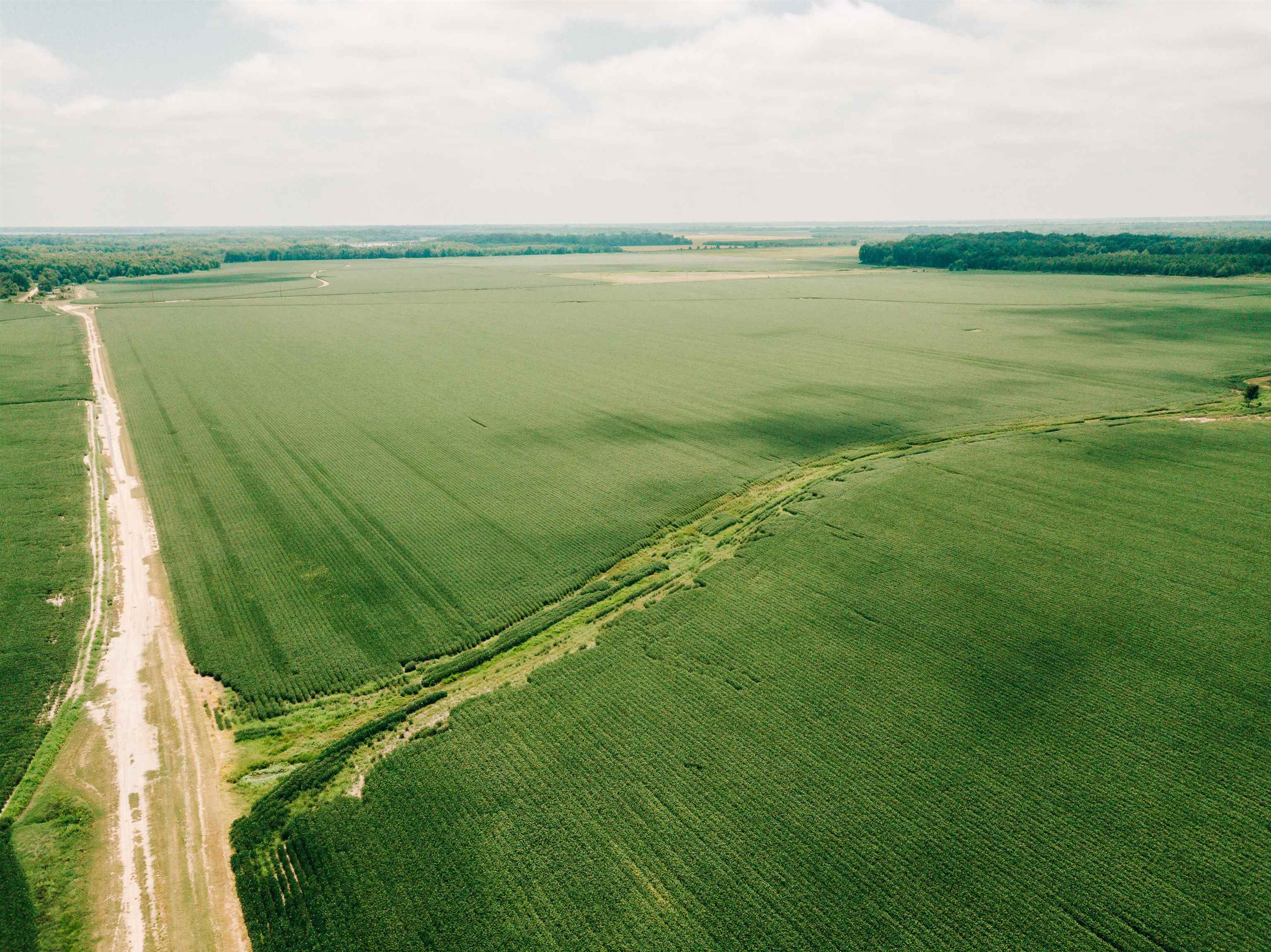 00  Bell Rd  Gillett, AR