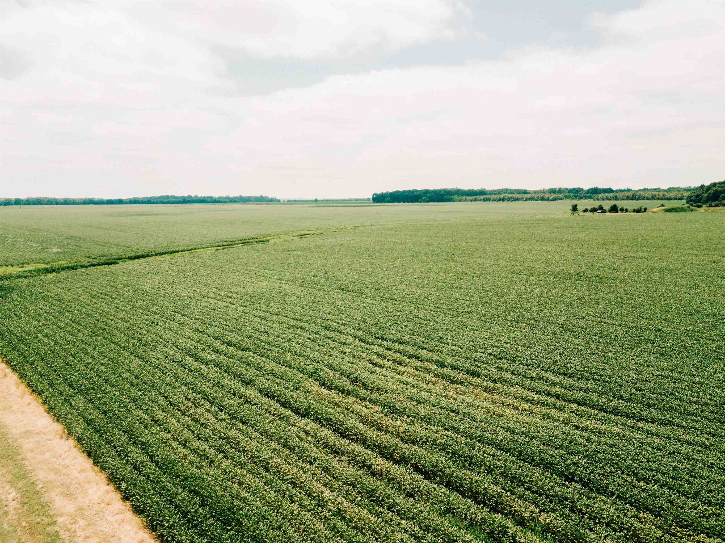 00  Bell Rd  Gillett, AR