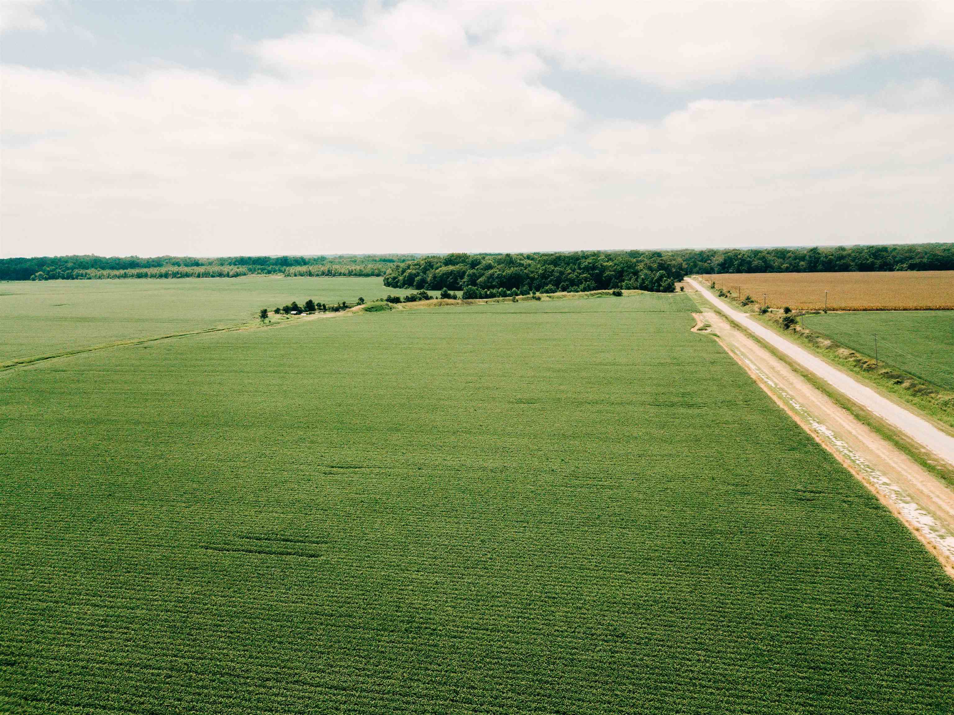 00  Bell Rd  Gillett, AR