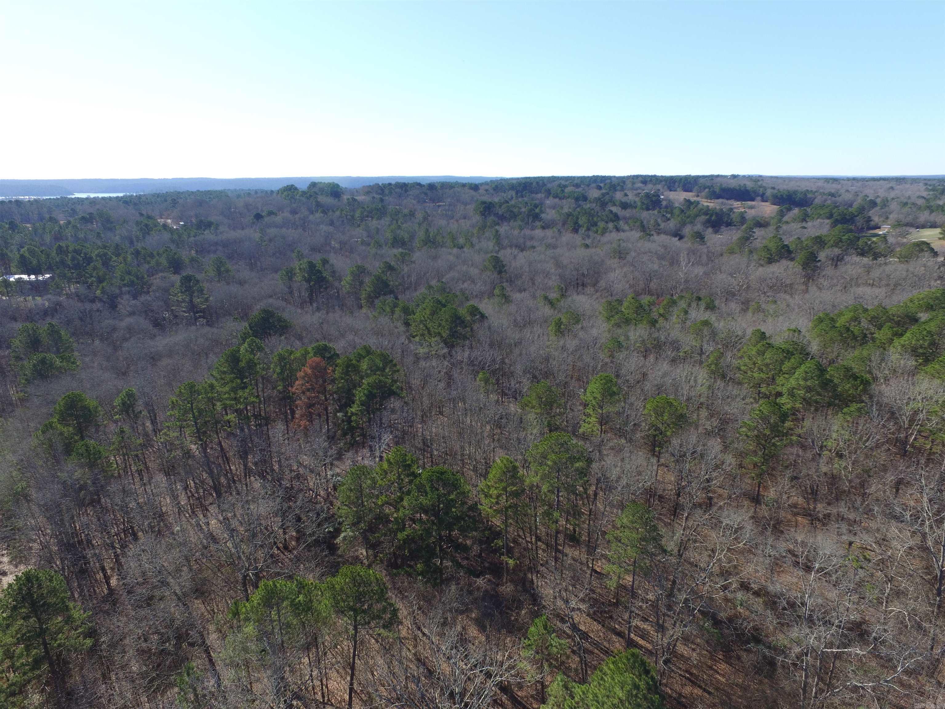 140  Scottish Trail 19 acres Bismarck, AR