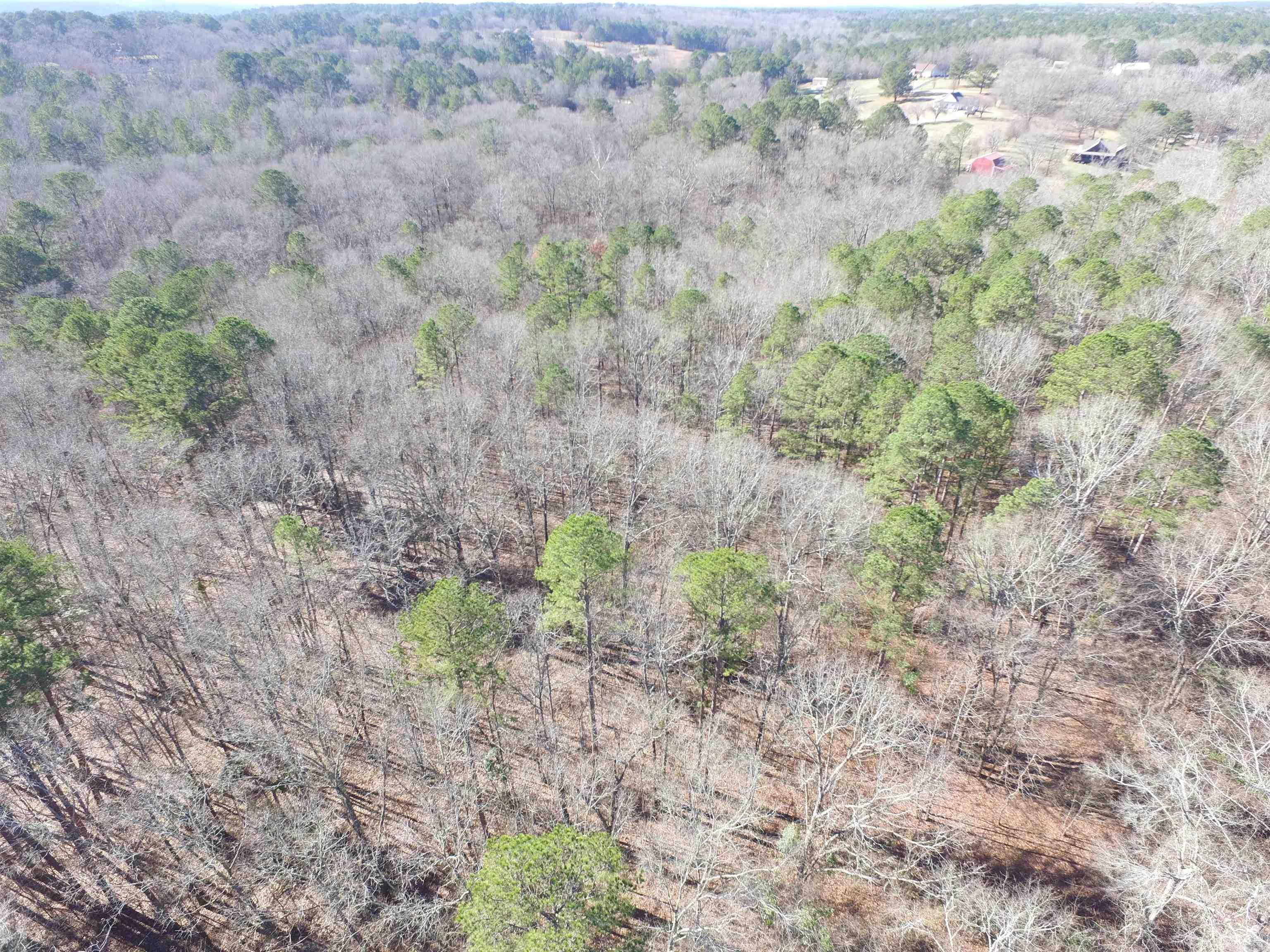 140  Scottish Trail 19 acres Bismarck, AR