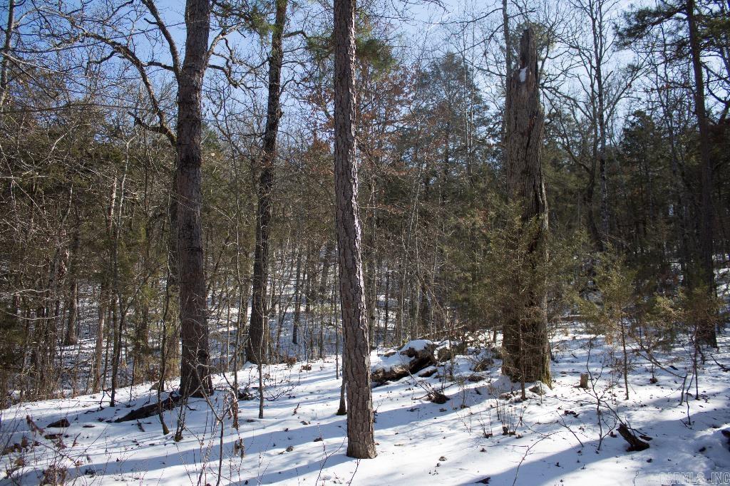 00  Kerley Point  Elizabeth, AR