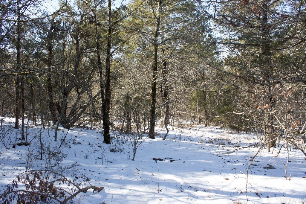 00  Kerley Point  Elizabeth, AR