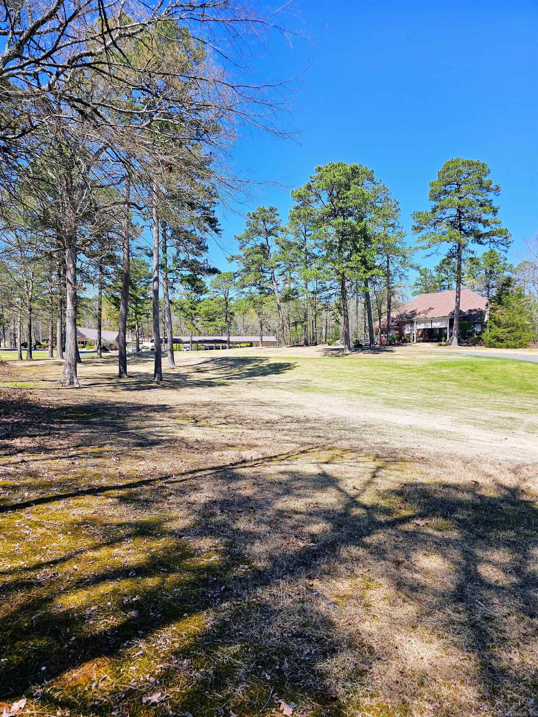 50  Sergio  Hot Springs Village, AR
