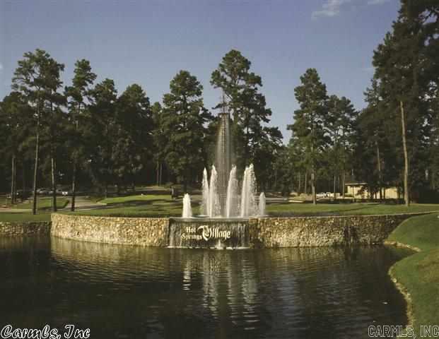 50  Sergio  Hot Springs Village, AR