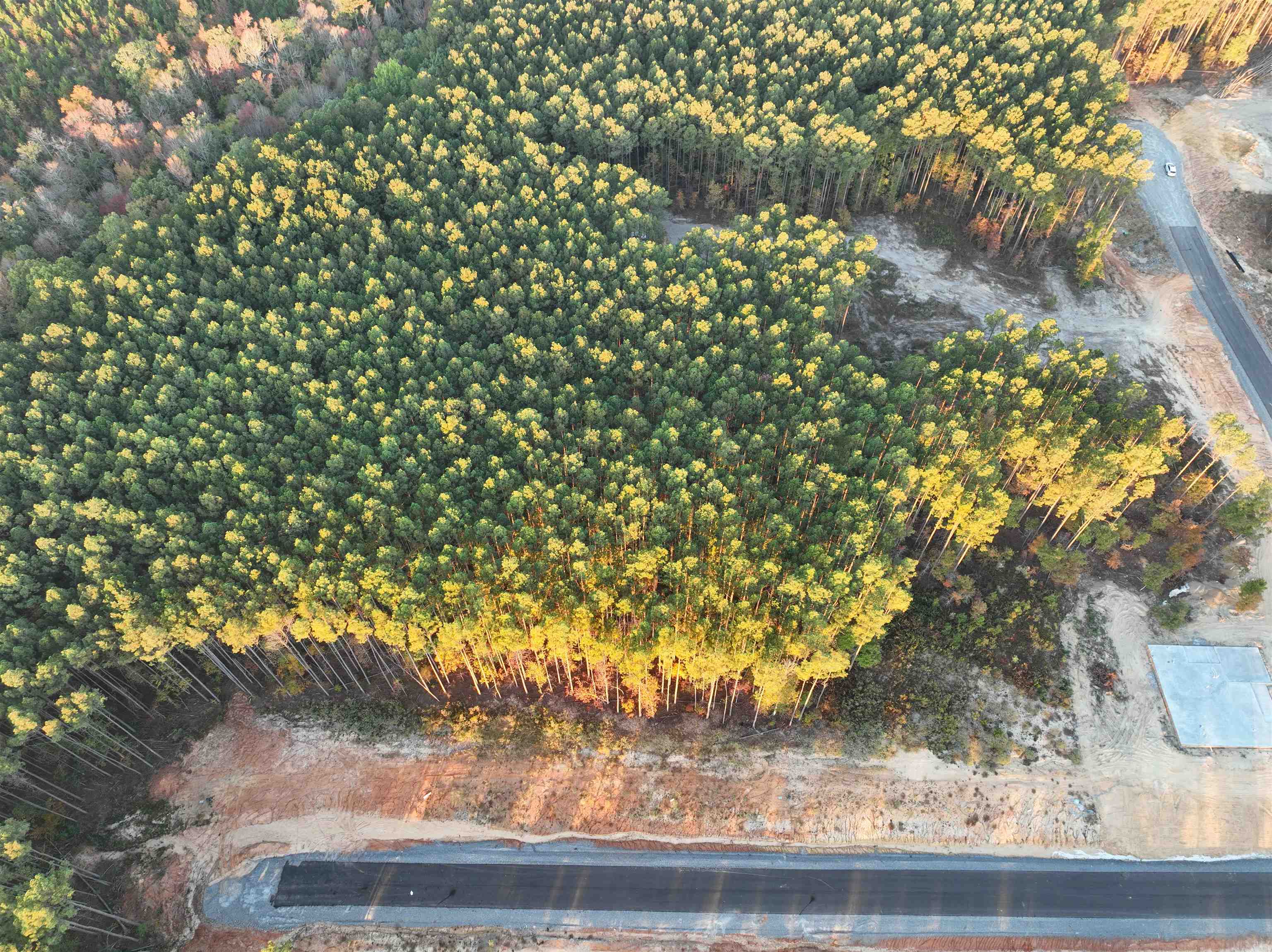 TBD  Mountain Pine Tract 6 Mabelvale, AR