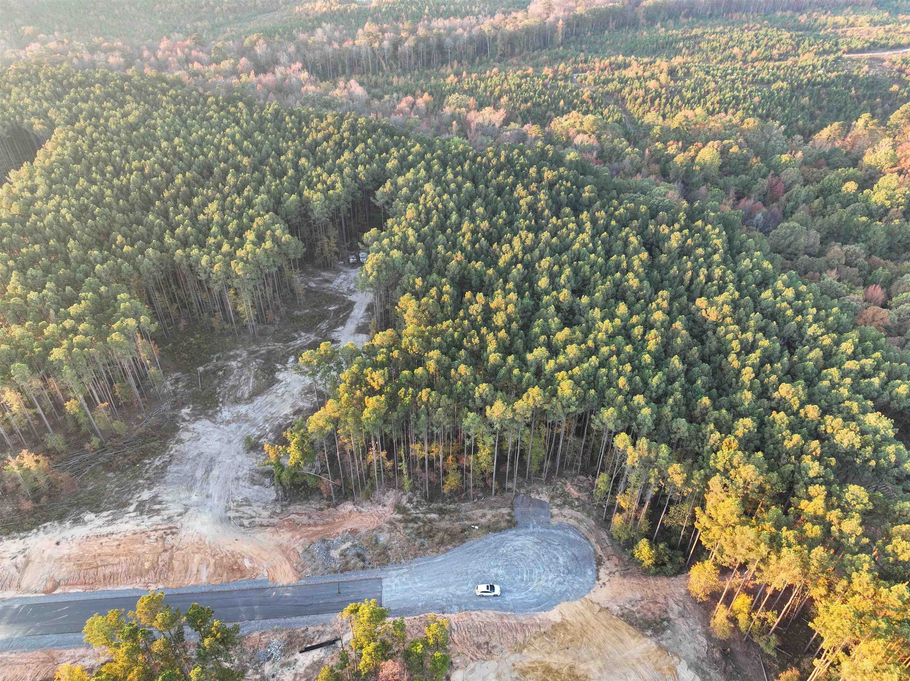 TBD  Mountain Pine Tract 174 Mabelvale, AR