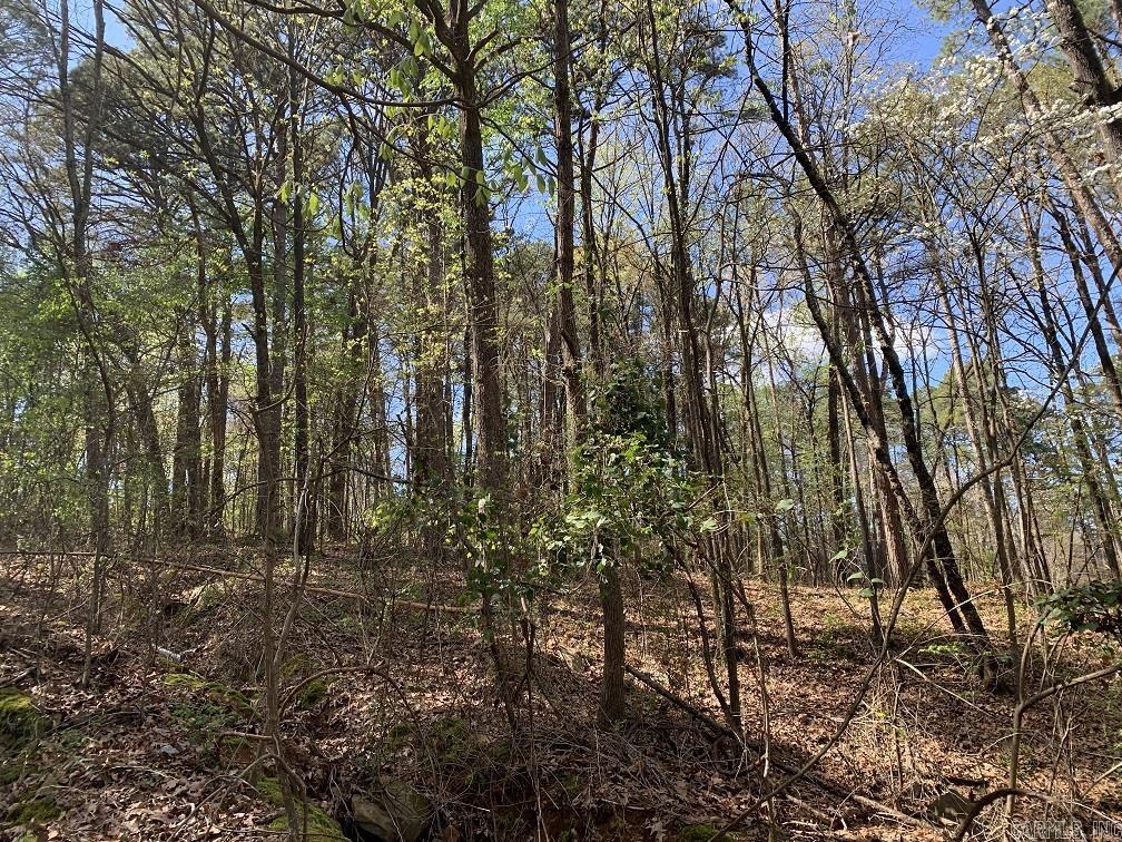   Hughes  Russellville, AR