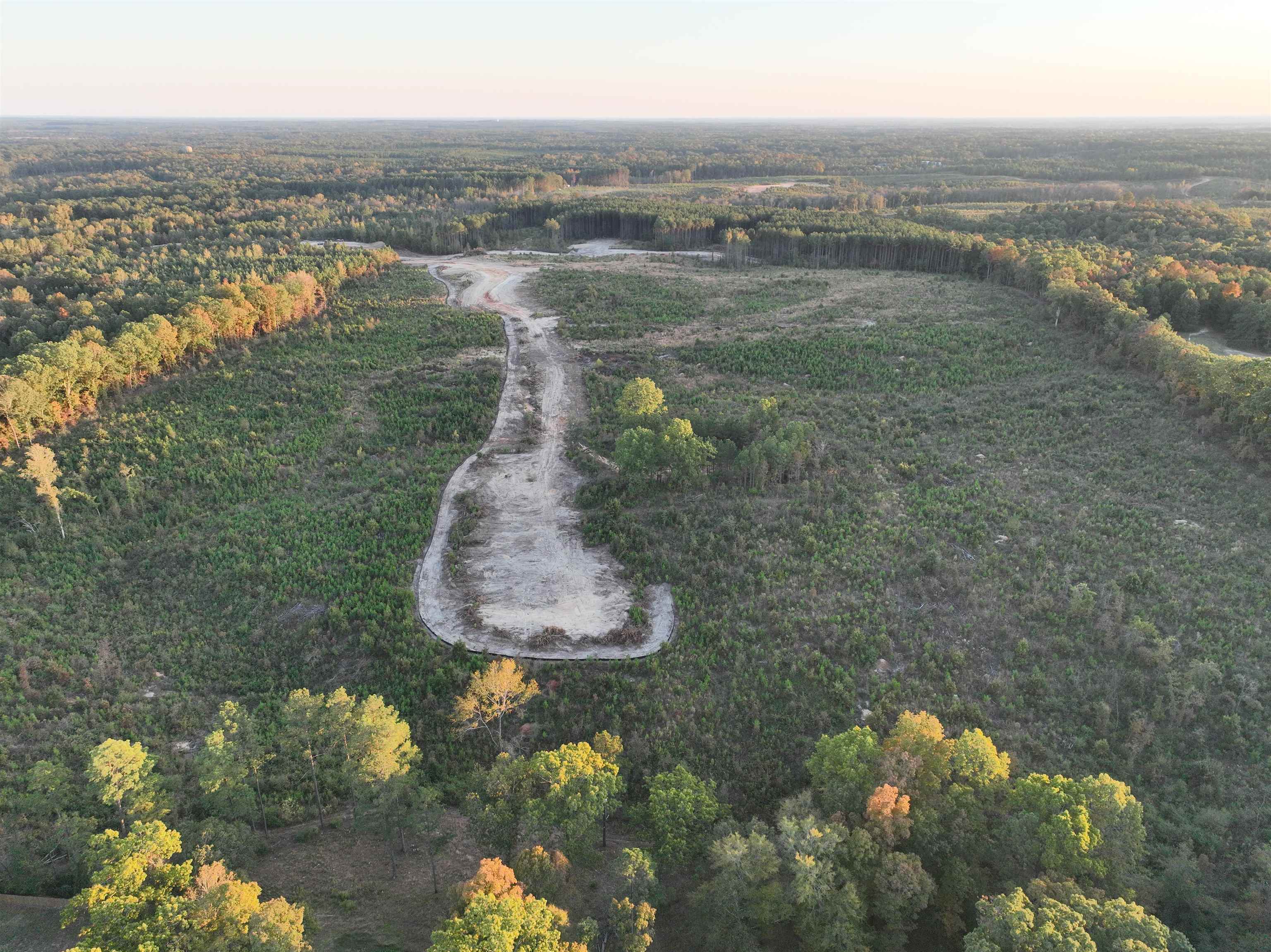 TBD  Mountain Pine Tract 46 Mabelvale, AR