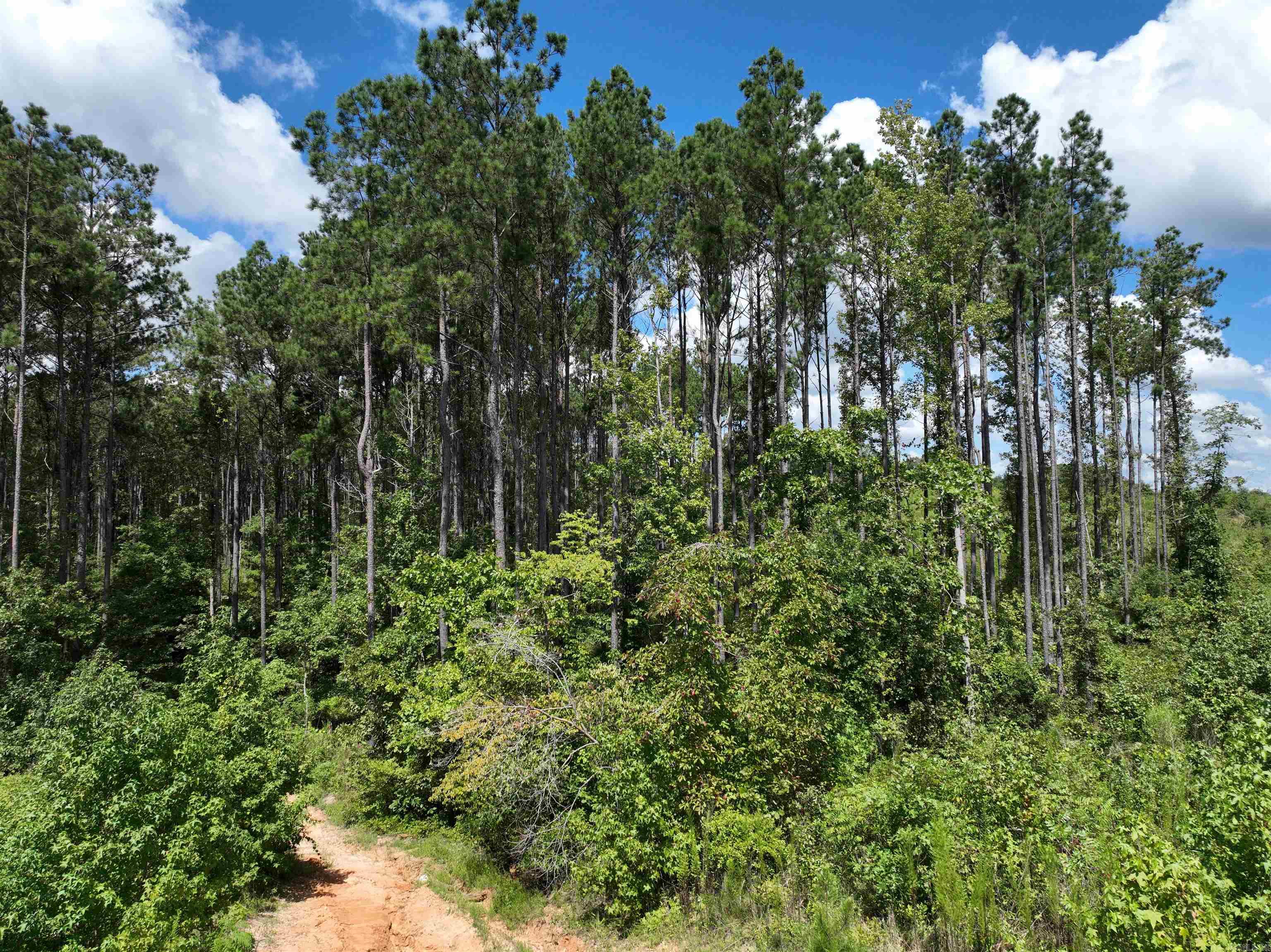 262 Mountain Pine Tract 39 Mabelvale, AR