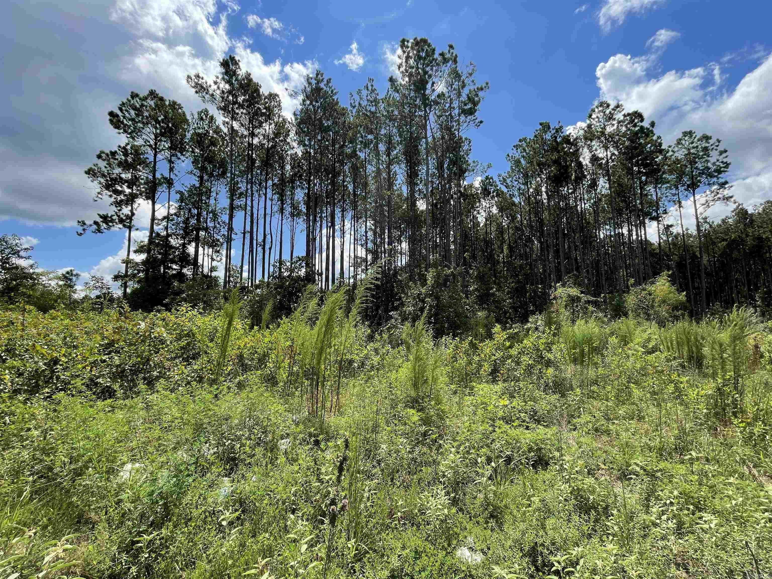 262 Mountain Pine Tract 39 Mabelvale, AR