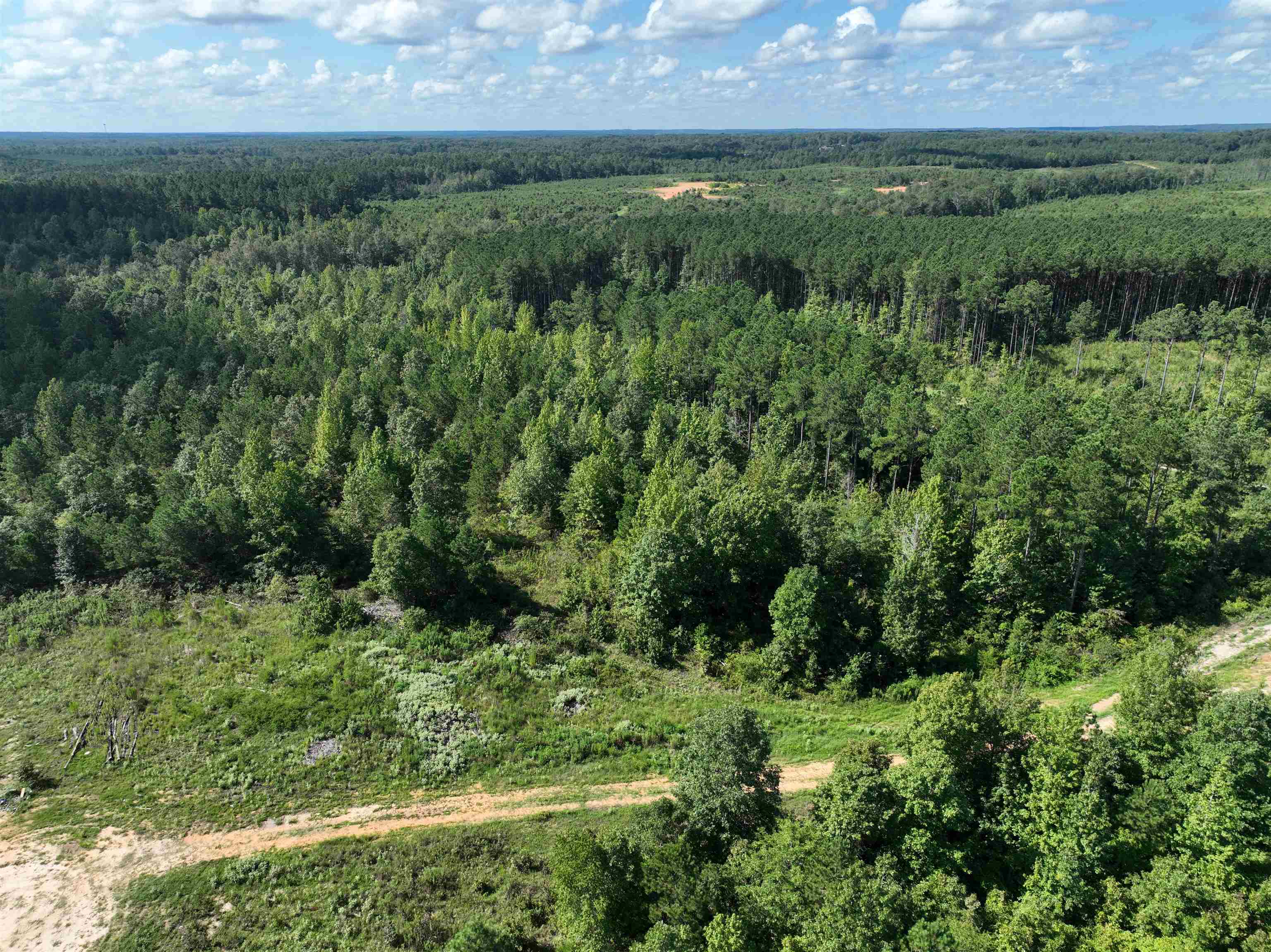 TBD  Mountain Pine Tract 40 Mabelvale, AR