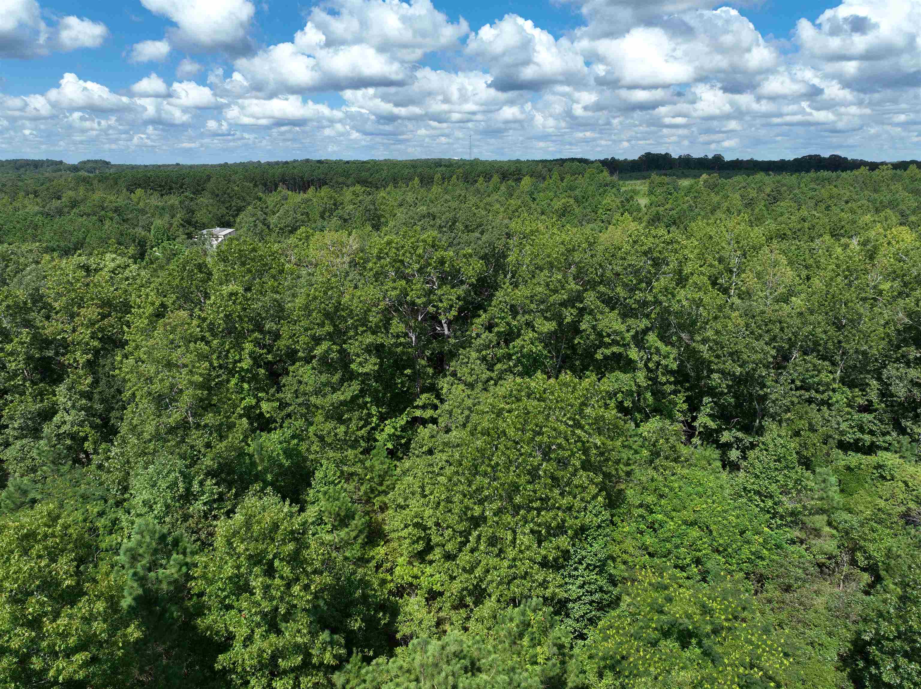 TBD  Mountain Pine Tract 40 Mabelvale, AR