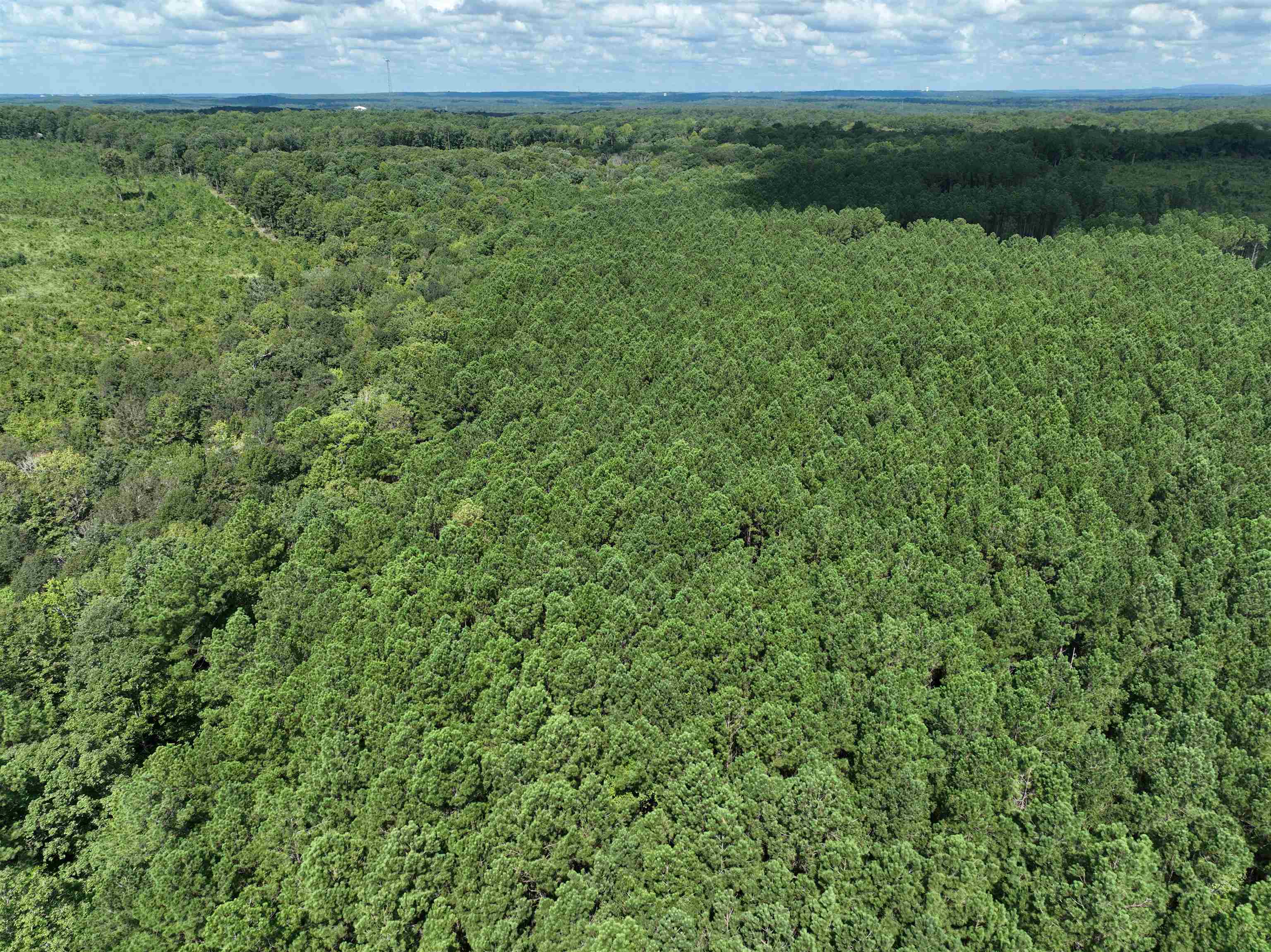 TBD  Mountain Pine Tract 40 Mabelvale, AR