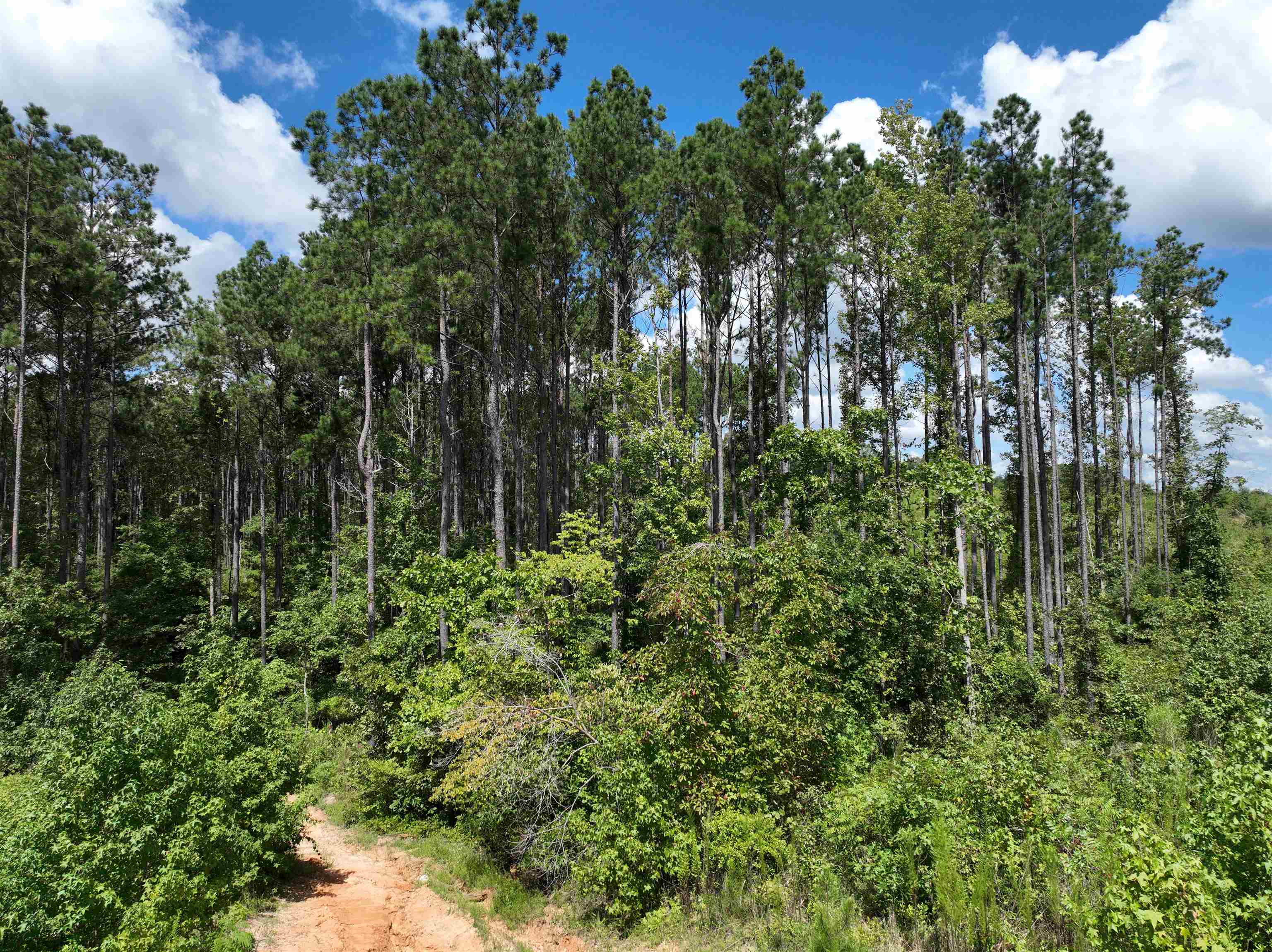 TBD  Mountain Pine Tract 40 Mabelvale, AR