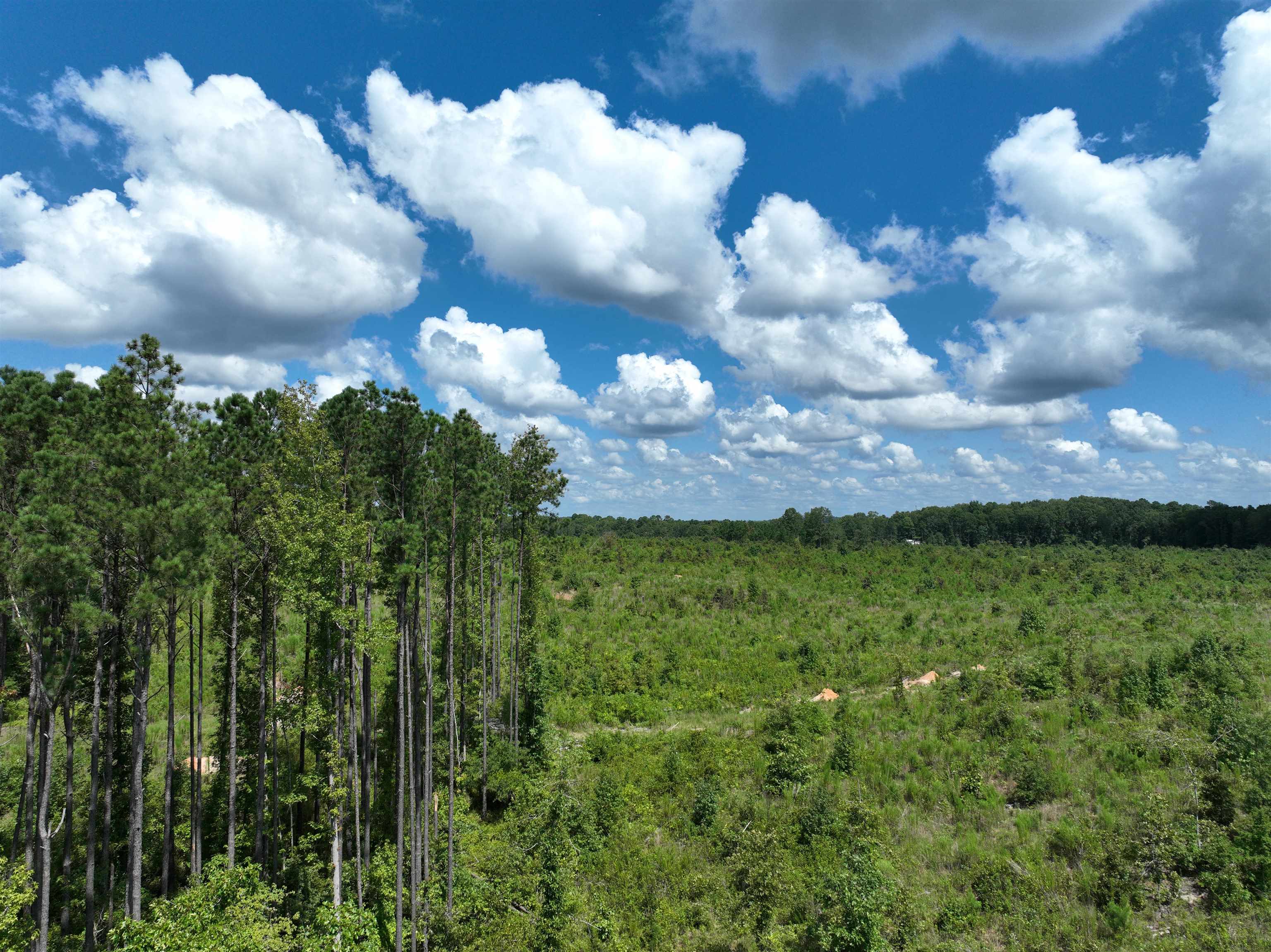 TBD  Mountain Pine Tract 40 Mabelvale, AR