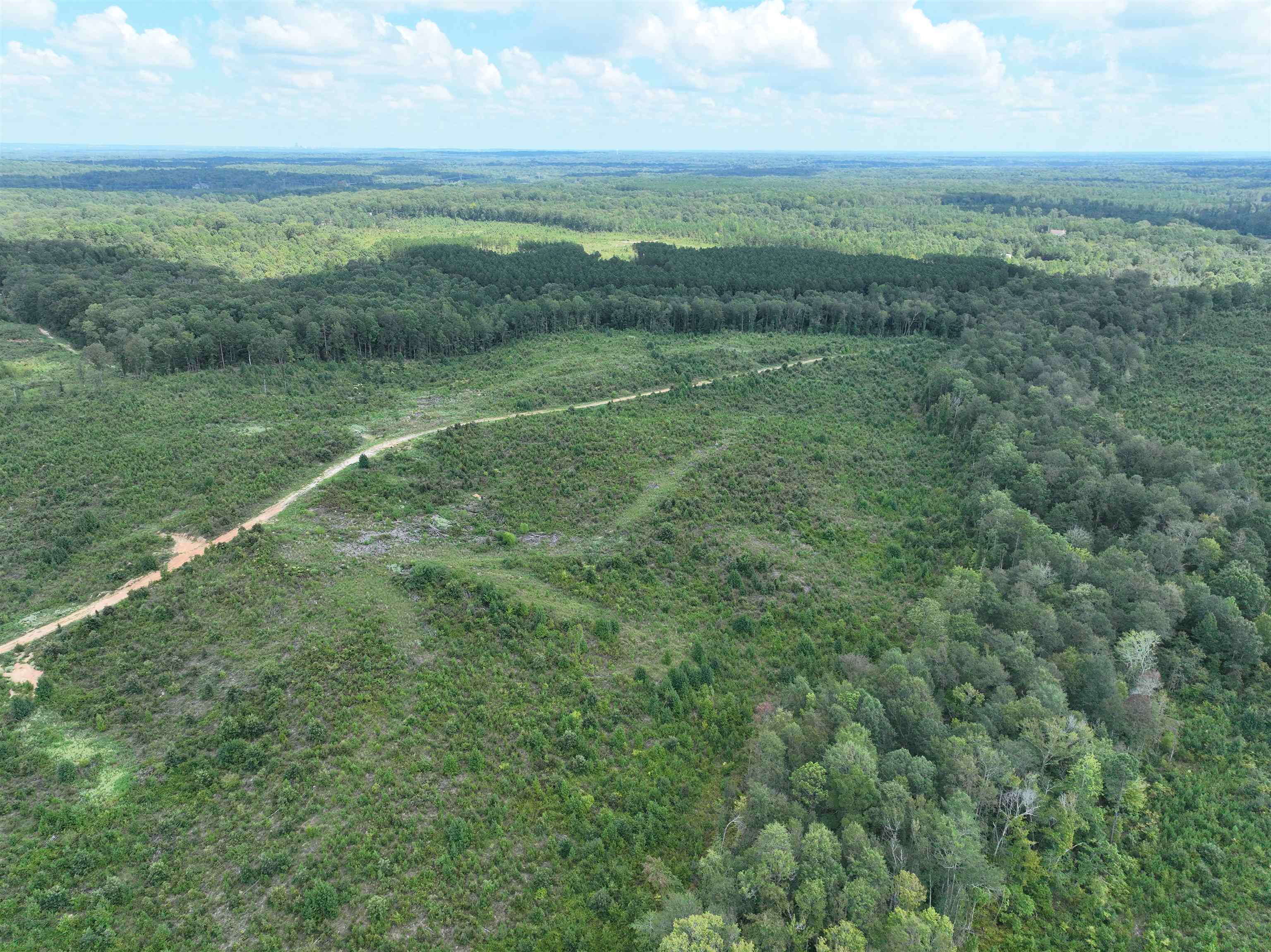 TBD  Mountain Pine Tract 40 Mabelvale, AR