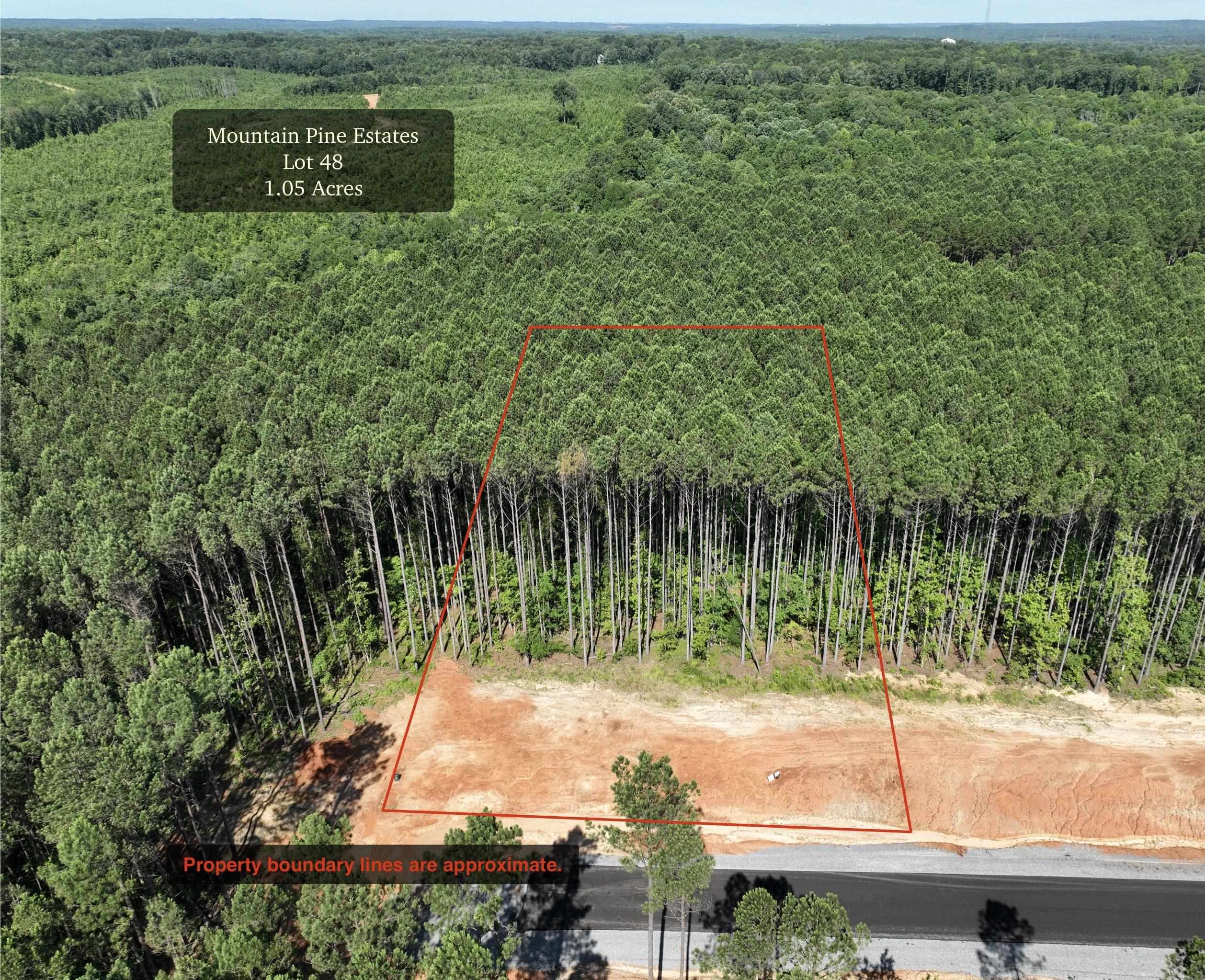 TBD  Mountain Pine Tract 48 Mabelvale, AR