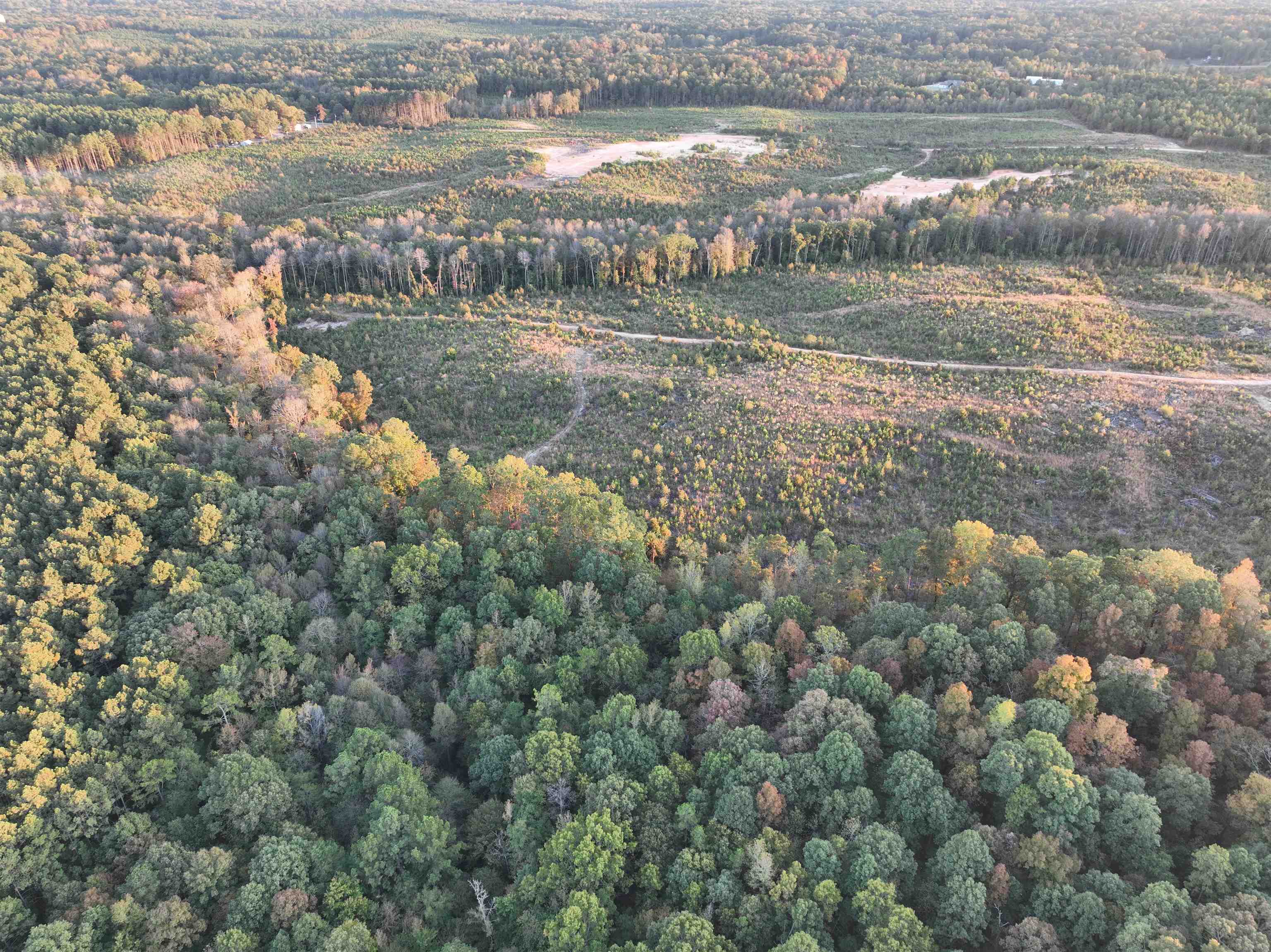 TBD  Mountain Pine Tract 48 Mabelvale, AR