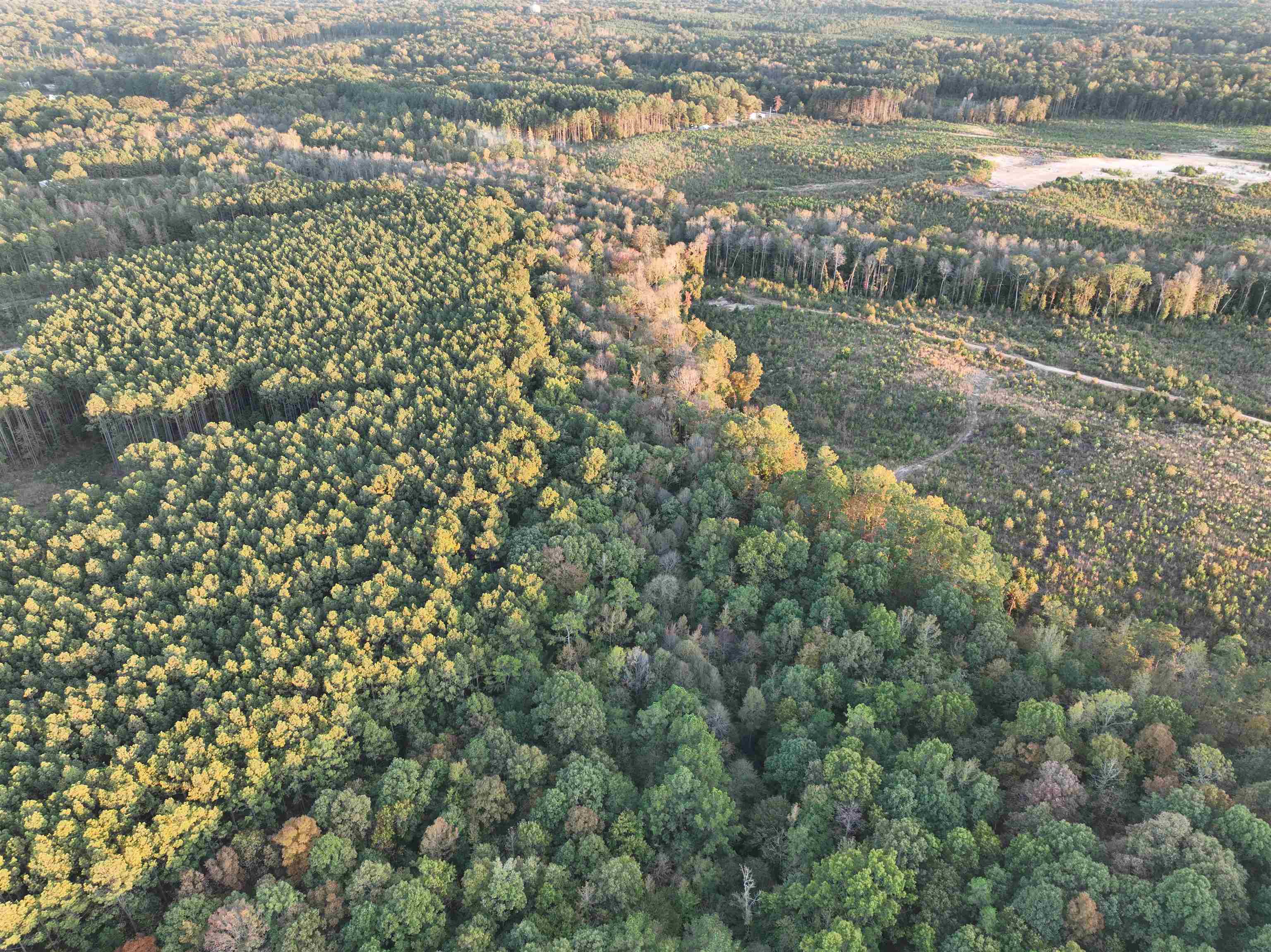 TBD  Mountain Pine Tract 170 Mabelvale, AR