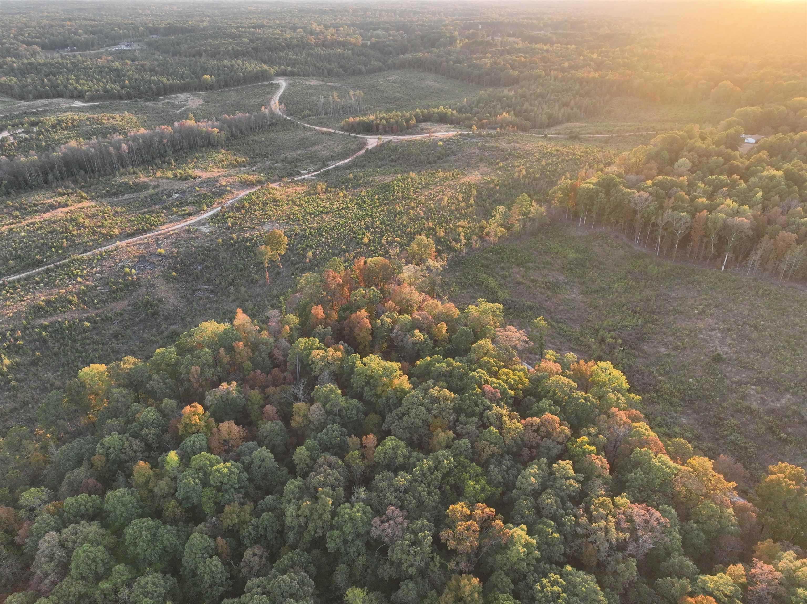 TBD  Mountain Pine Tract 170 Mabelvale, AR