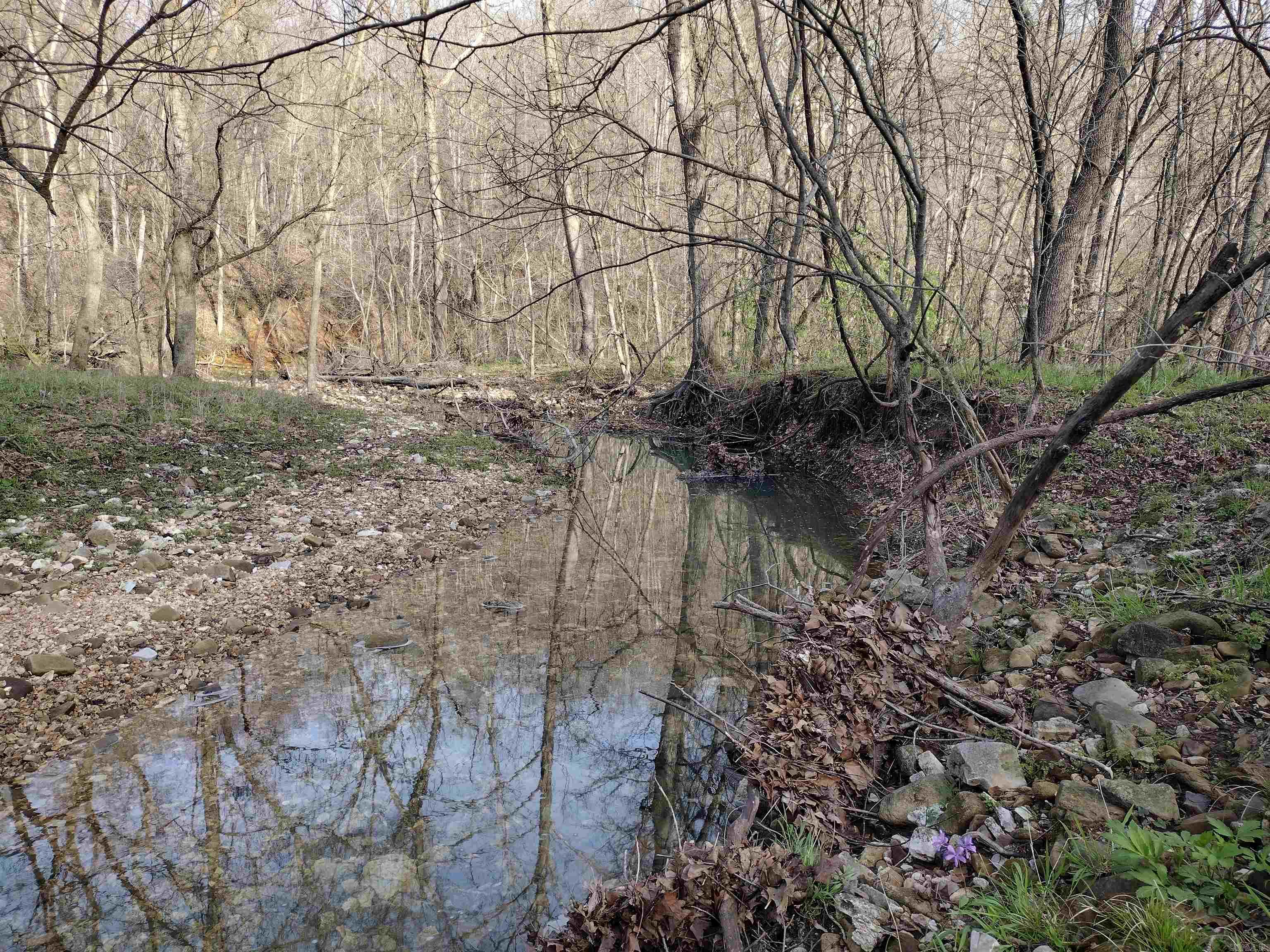 30121  HWy 263 N  Mountain View, AR
