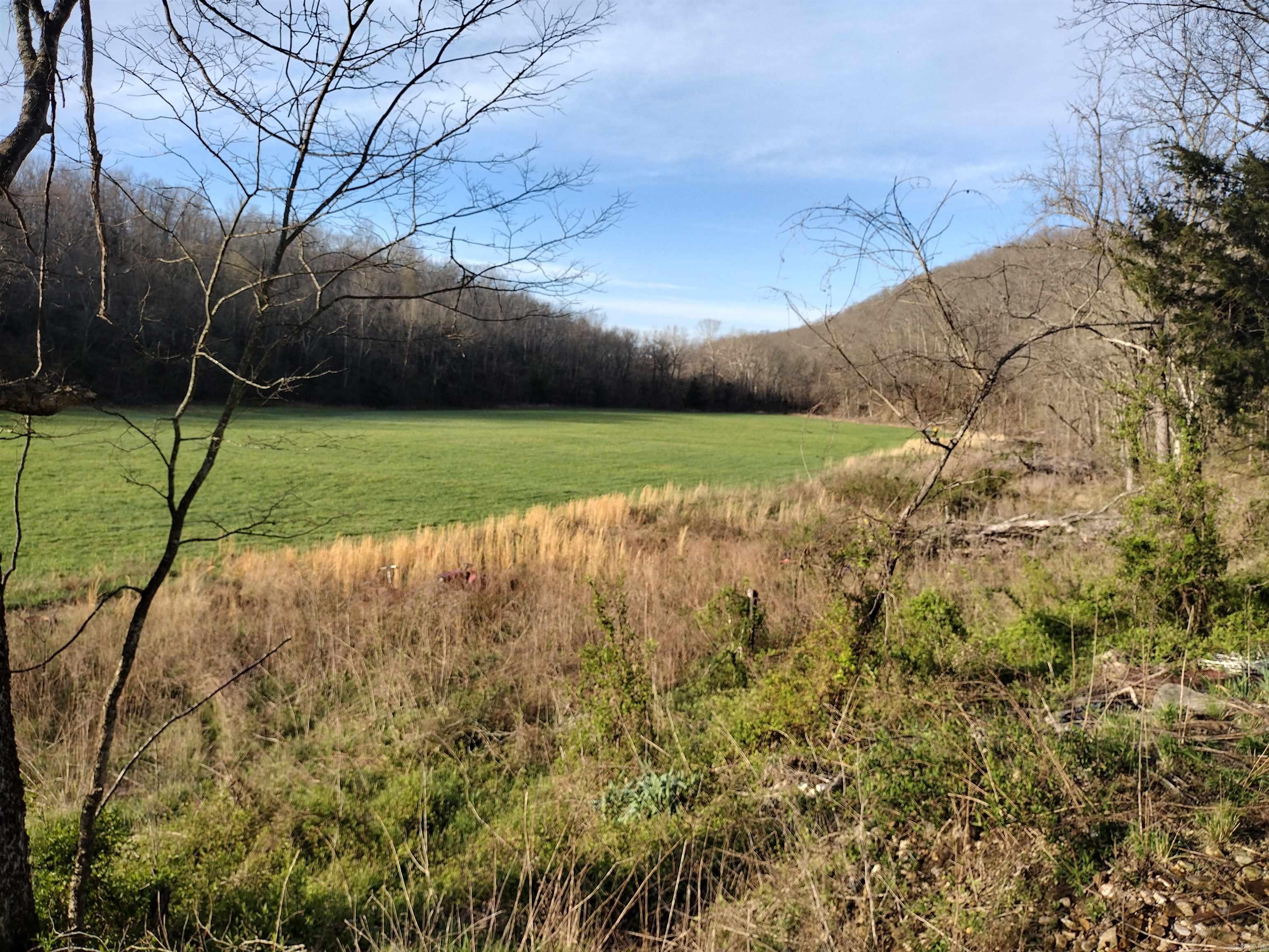 30121  HWy 263 N  Mountain View, AR