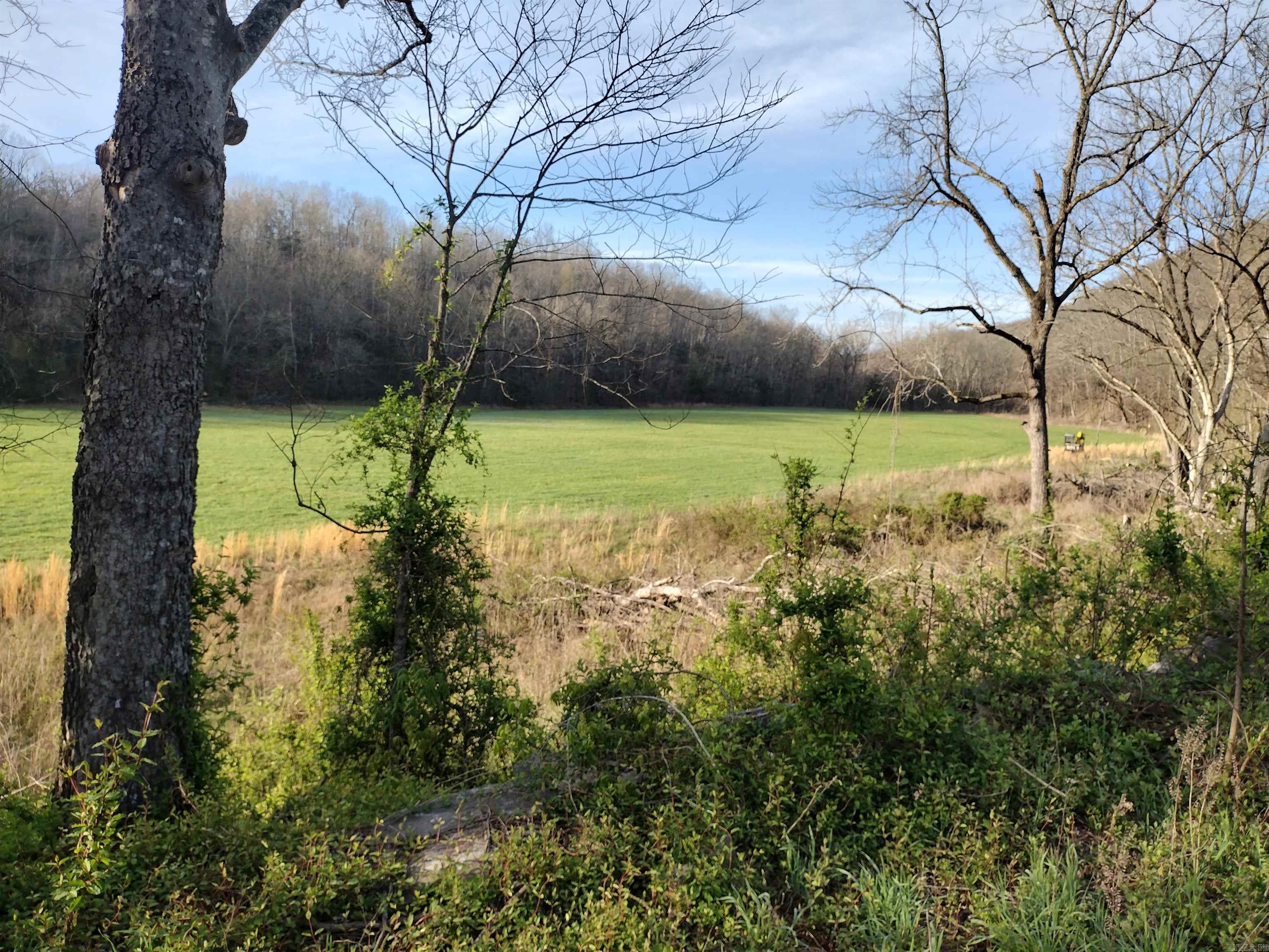 30121  HWy 263 N  Mountain View, AR