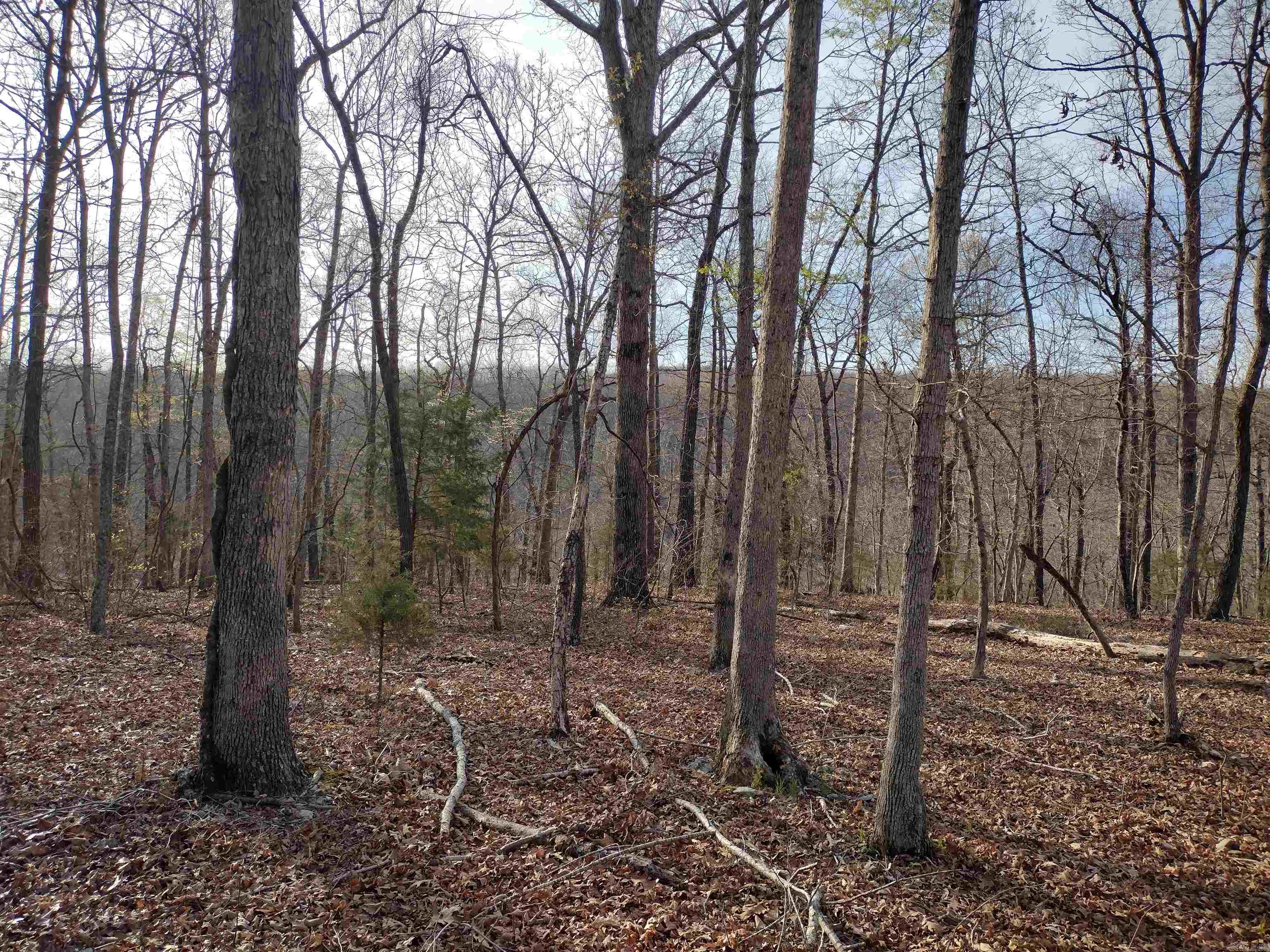 30121  HWy 263 N  Mountain View, AR