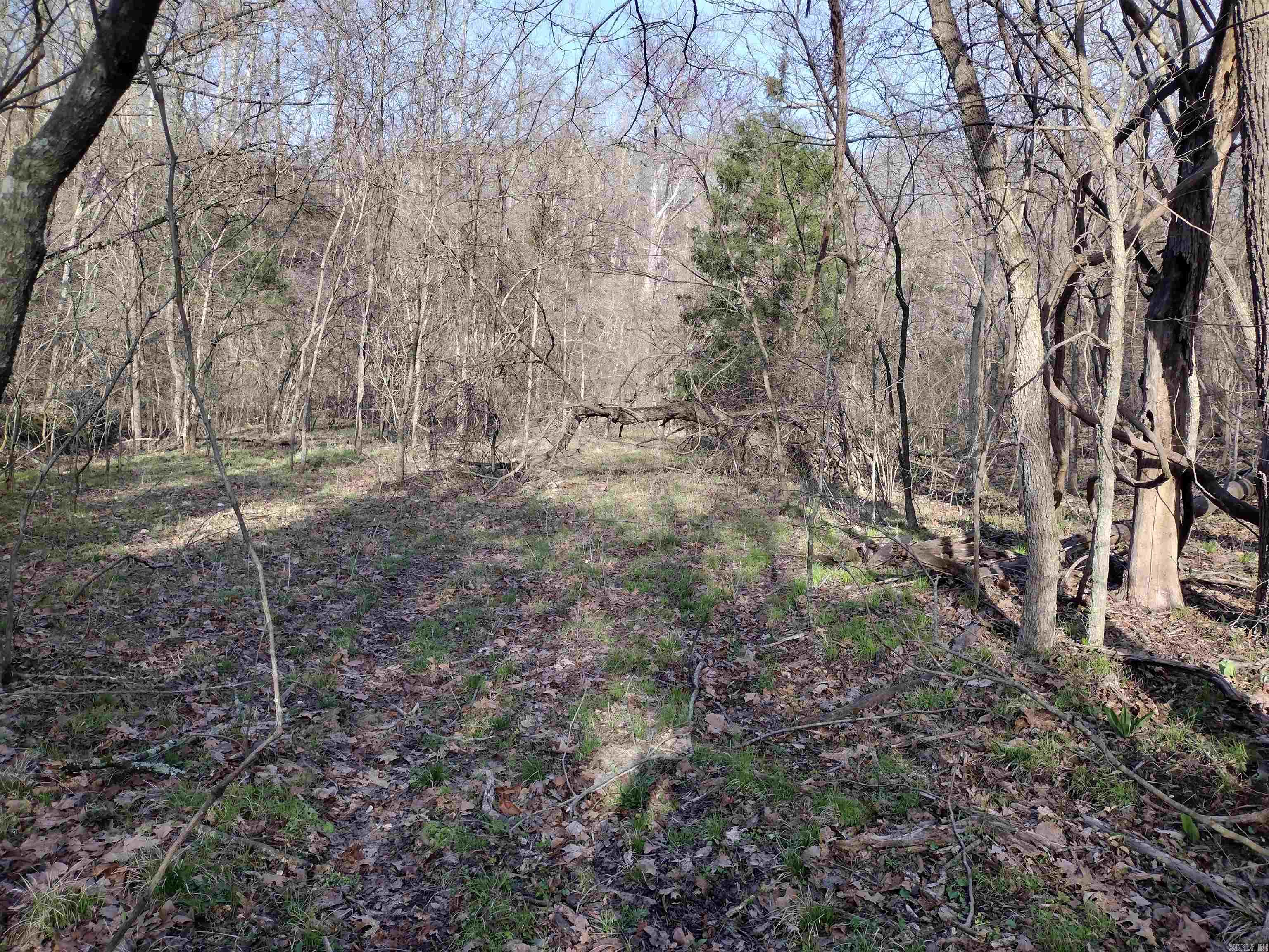 30121  HWy 263 N  Mountain View, AR