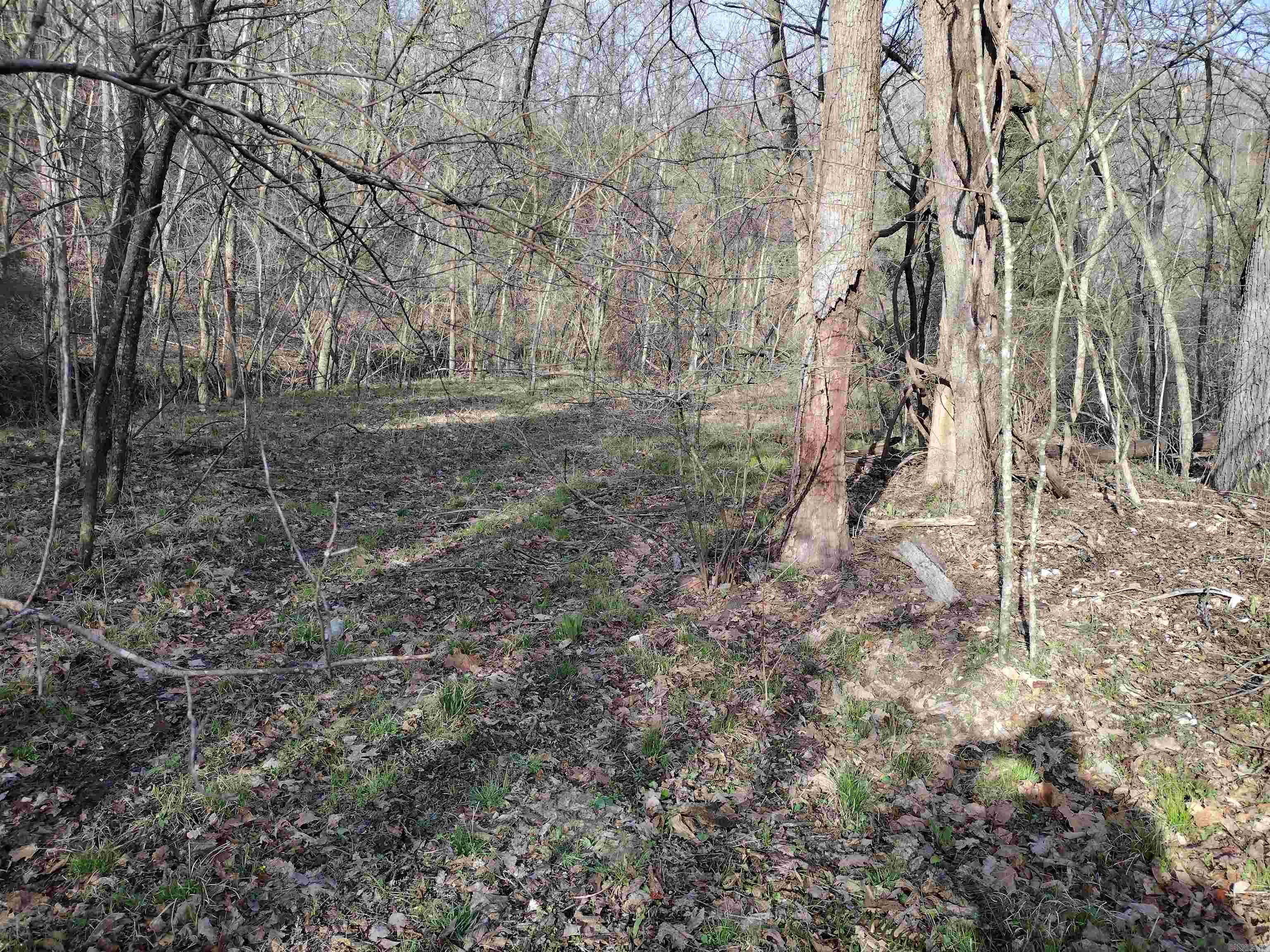 30121  HWy 263 N  Mountain View, AR