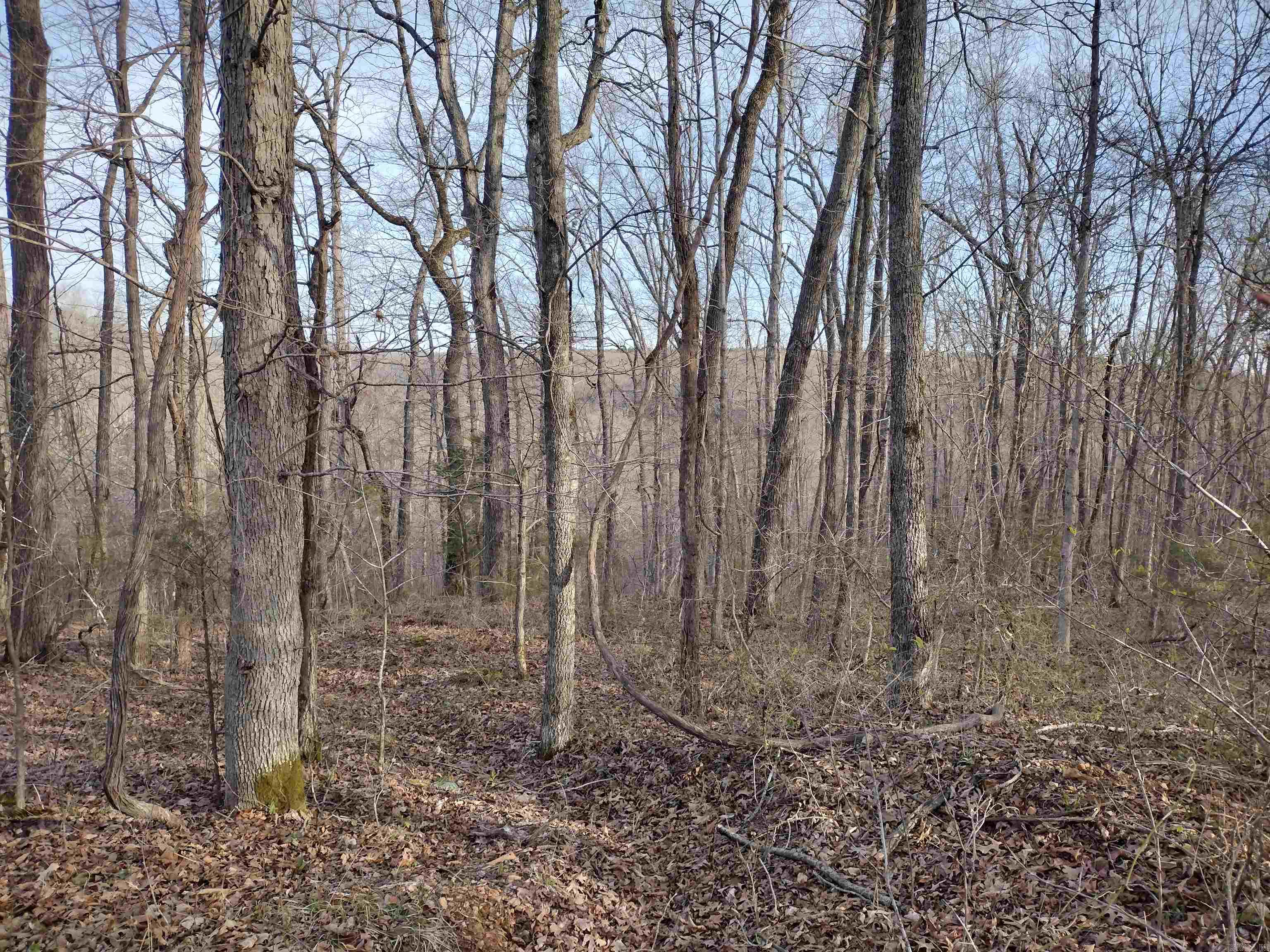 30121  HWy 263 N  Mountain View, AR