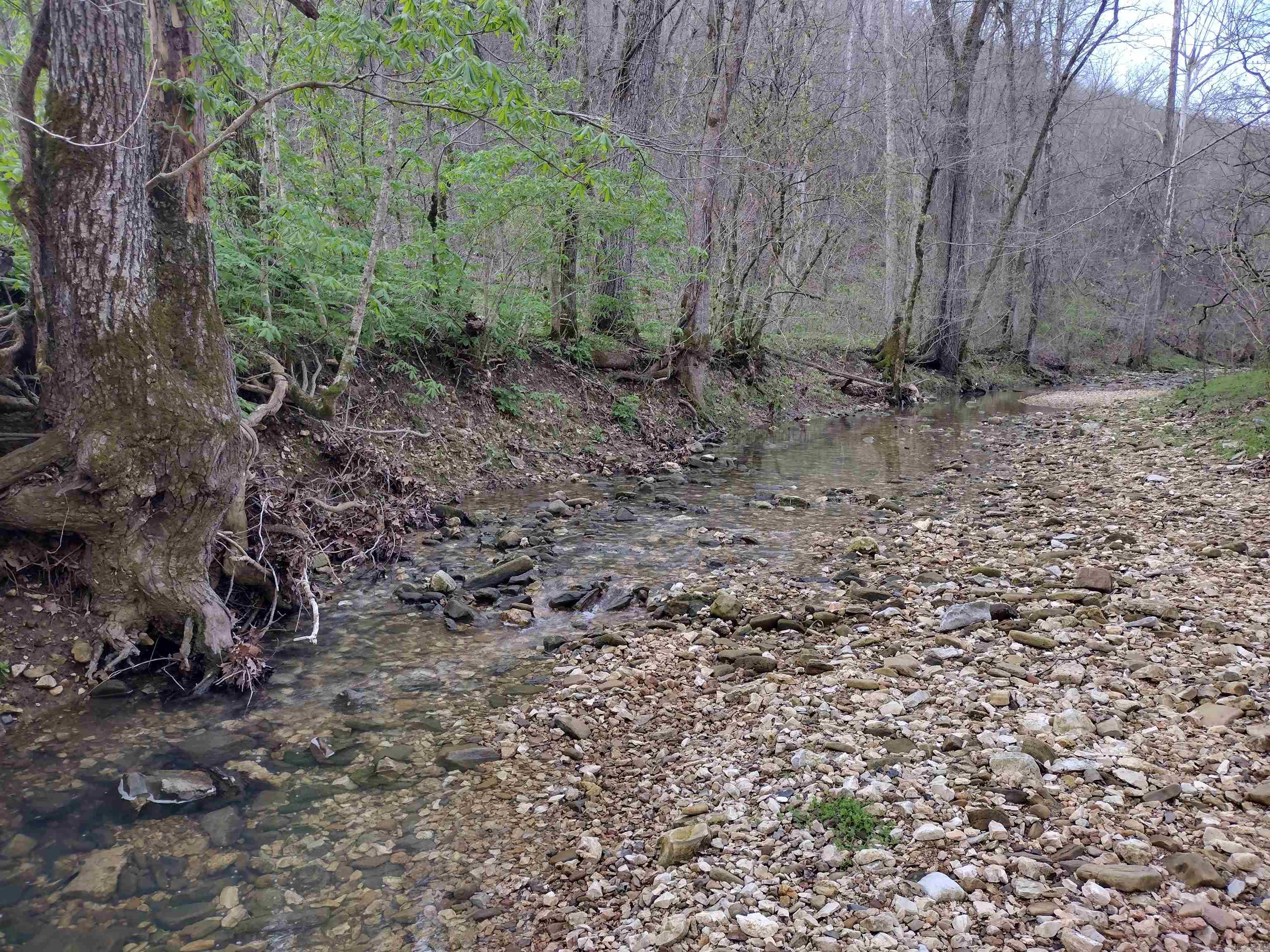30121  HWy 263 N  Mountain View, AR