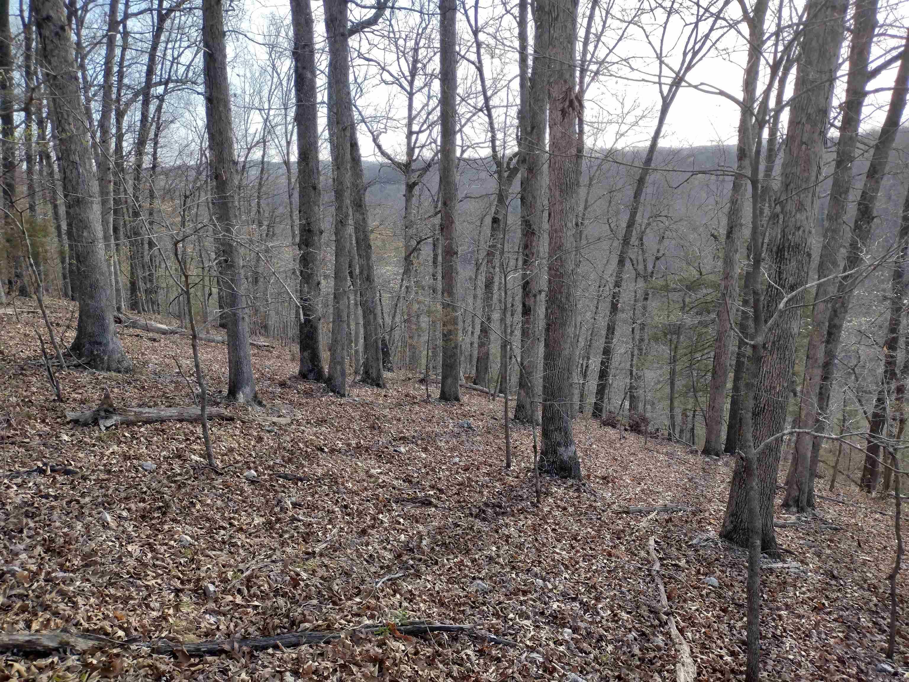 30121  HWy 263 N  Mountain View, AR
