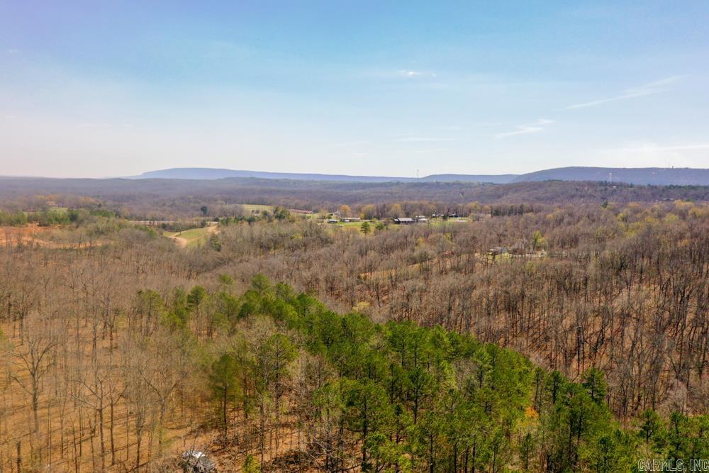 000  Wilcox  Mountain View, AR