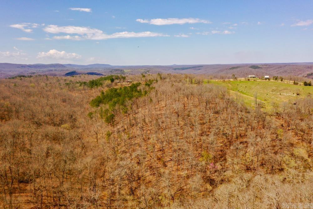 000  Wilcox  Mountain View, AR