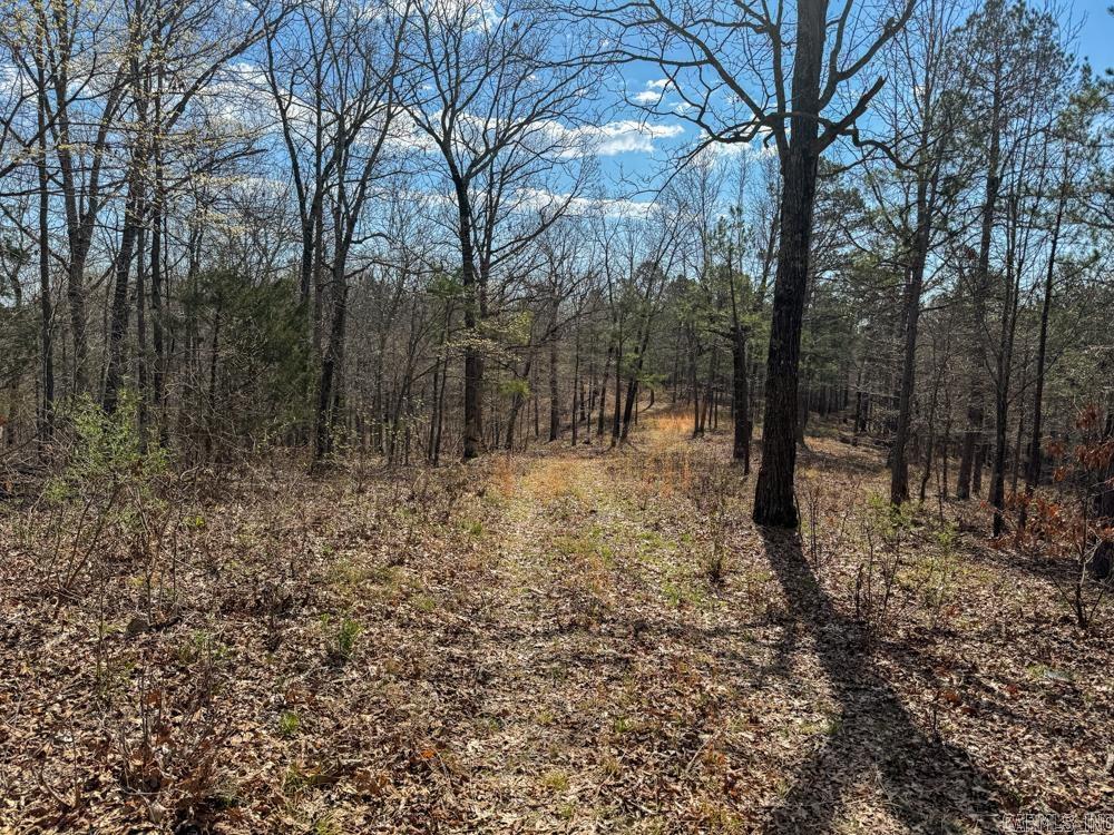 000  Wilcox  Mountain View, AR