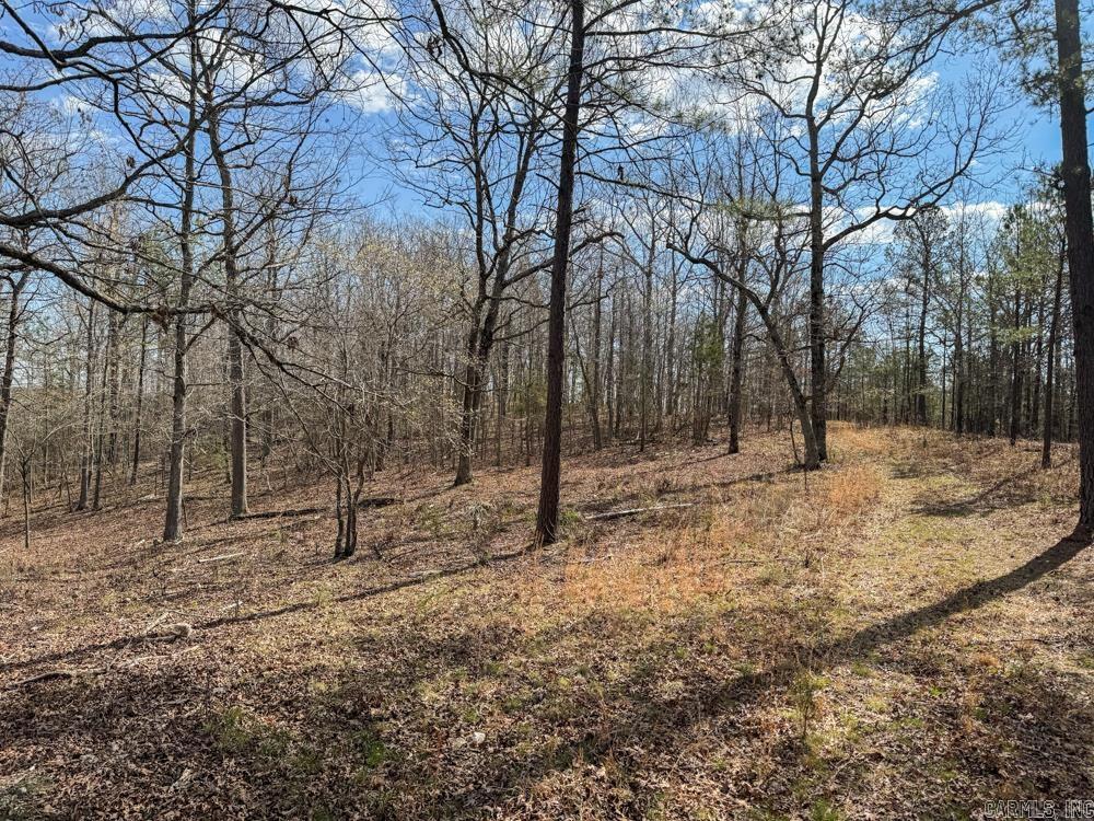000  Wilcox  Mountain View, AR