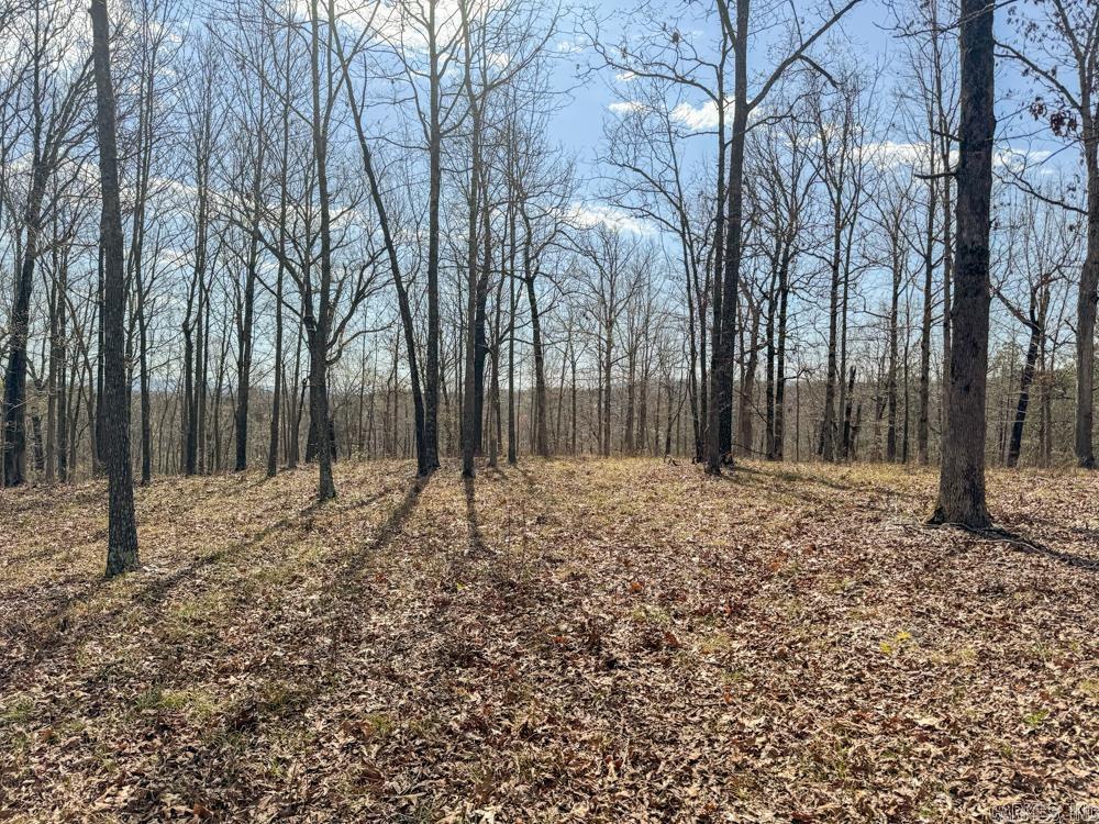 000  Wilcox  Mountain View, AR
