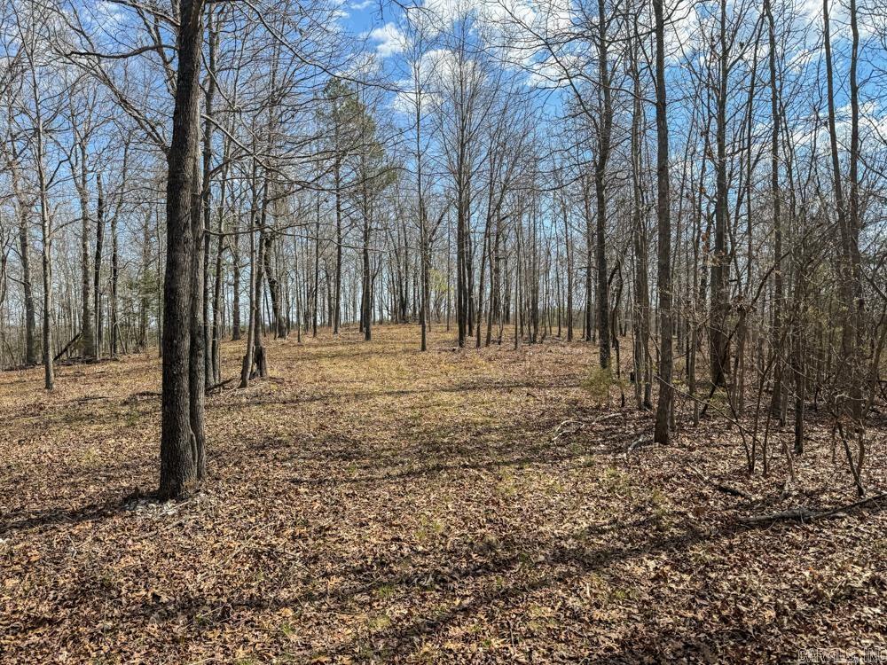 000  Wilcox  Mountain View, AR