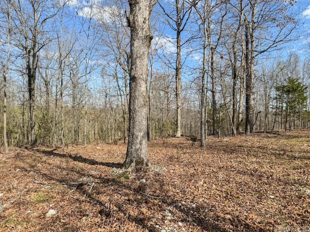 000  Wilcox  Mountain View, AR