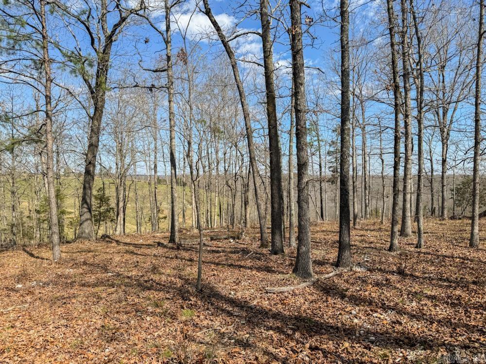 000  Wilcox  Mountain View, AR