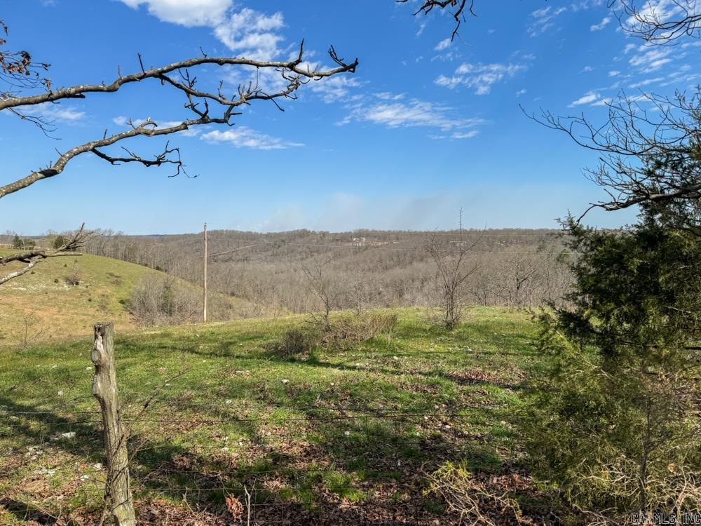 000  Wilcox  Mountain View, AR