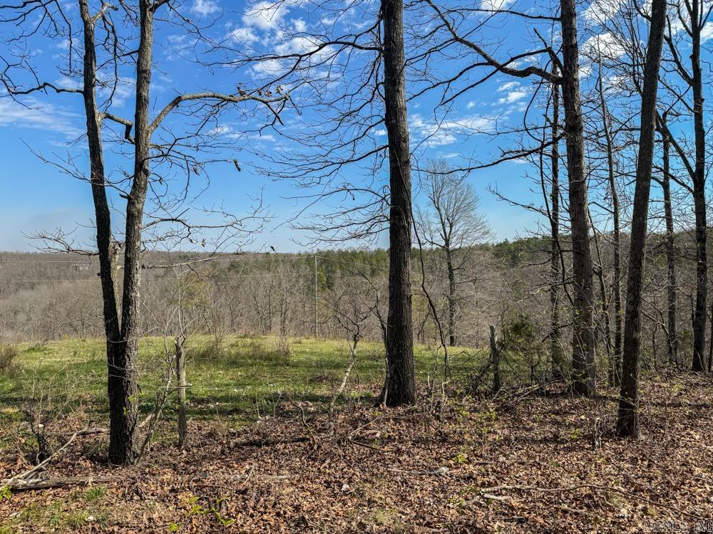000  Wilcox  Mountain View, AR