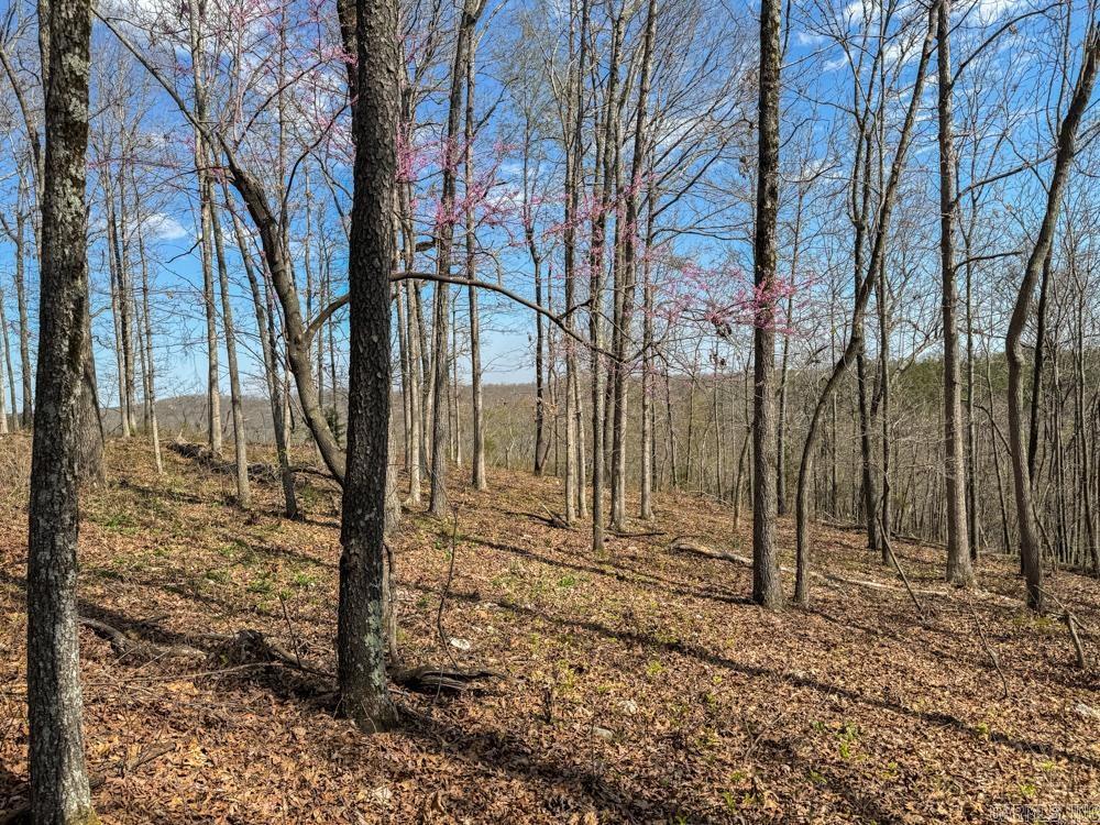 000  Wilcox  Mountain View, AR
