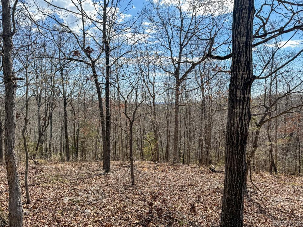 000  Wilcox  Mountain View, AR