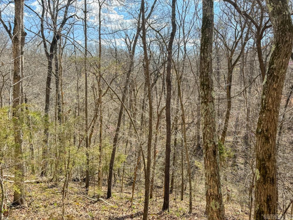 000  Wilcox  Mountain View, AR
